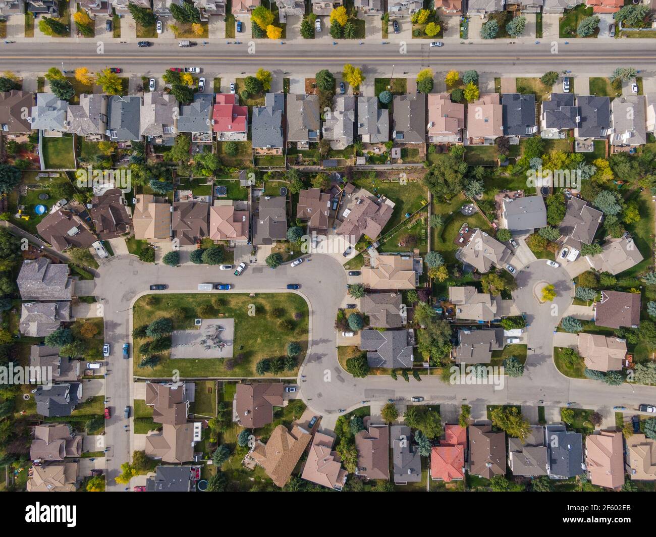 Vue aérienne en haut vers le bas des maisons et des rues dans le beau quartier résidentiel pendant la saison d'automne à Calgary, Alberta, Canada. Banque D'Images