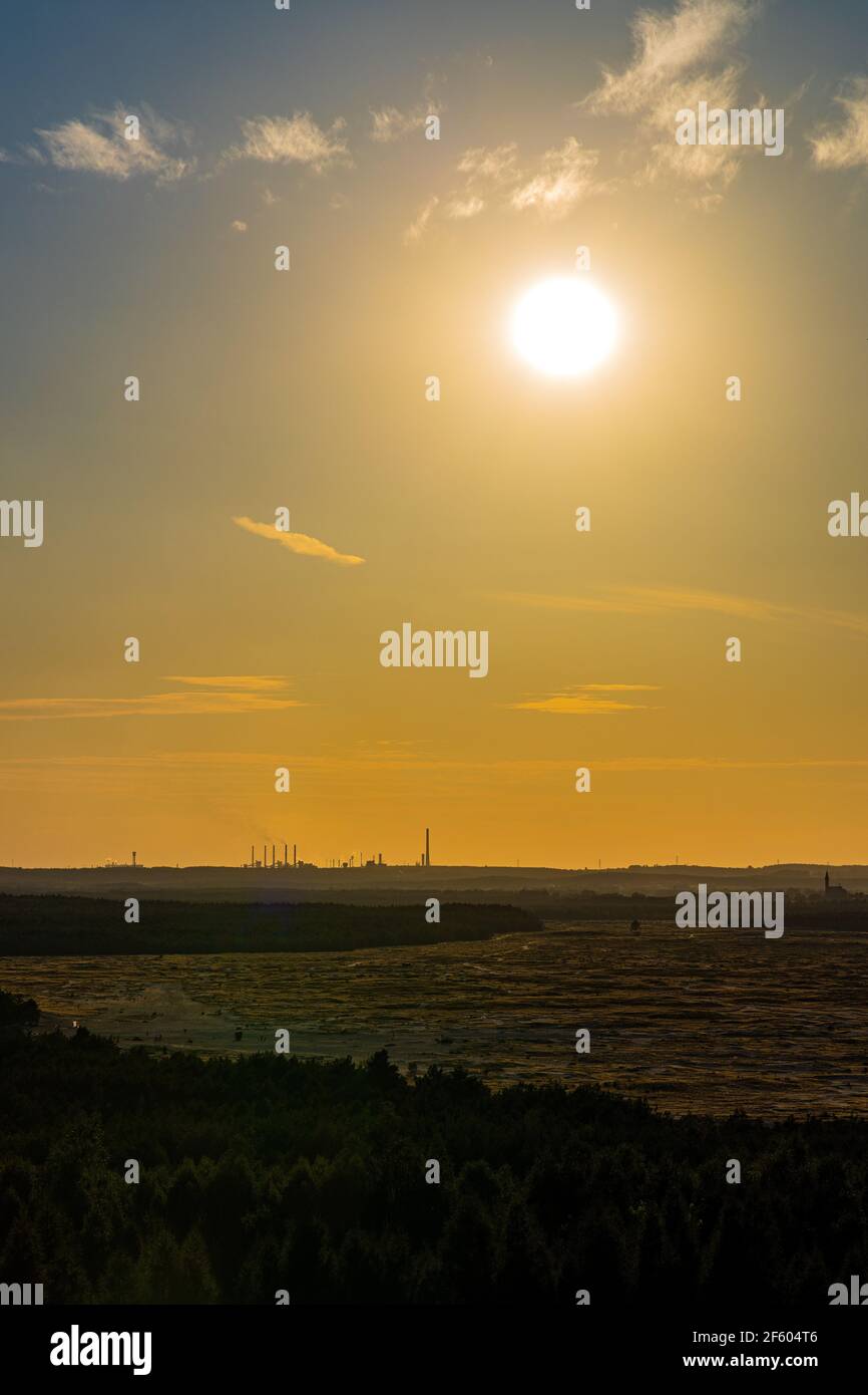Vue panoramique sur le plateau du désert de Bledowska, paysage boisé et sablonneux au point de vue de Czubatka près de Klucze dans la petite Pologne Banque D'Images