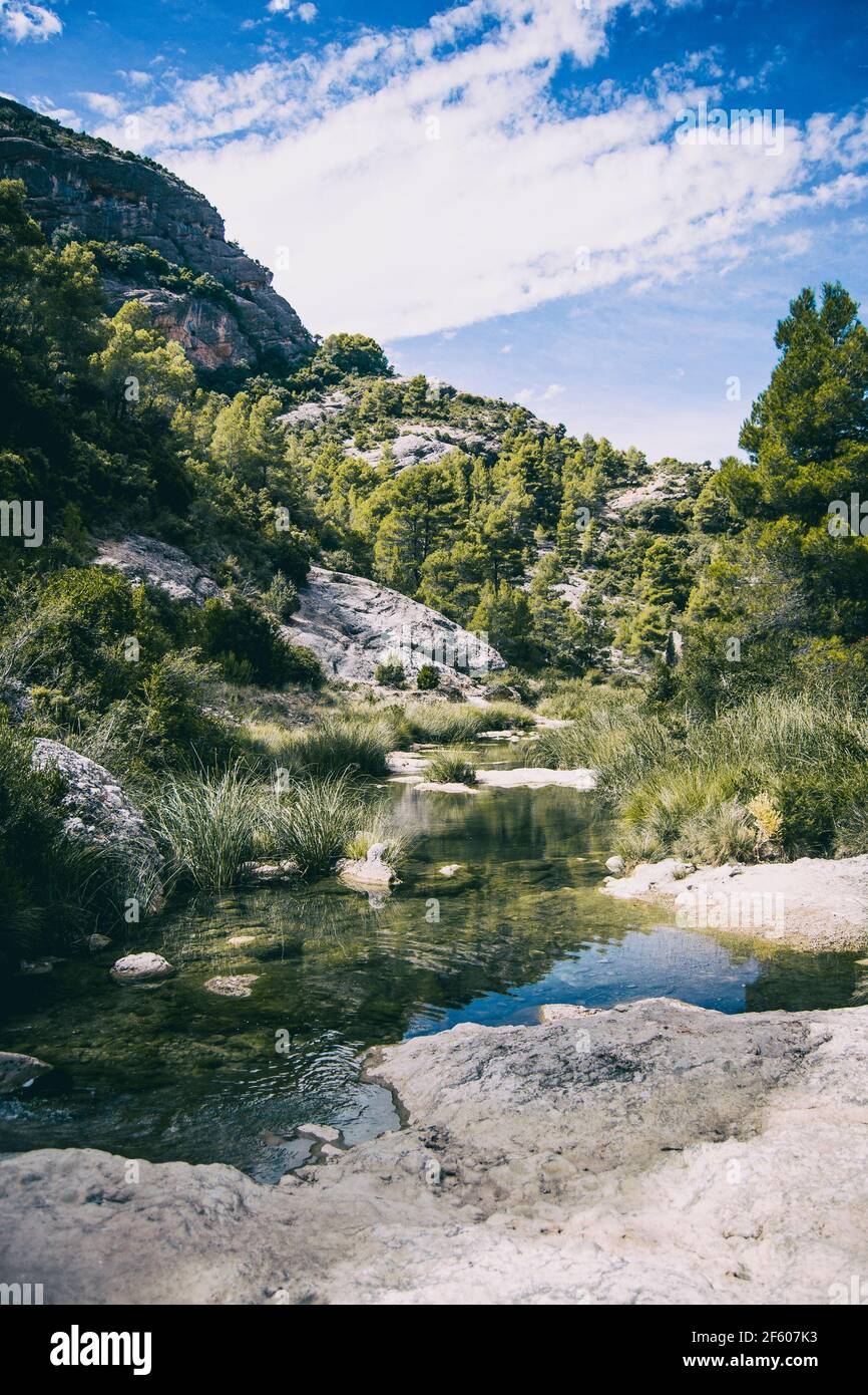 ruisseau calme avec de nombreuses pierres sur le chemin, entouré par beaucoup de forêt verte en catalogne, espagne Banque D'Images