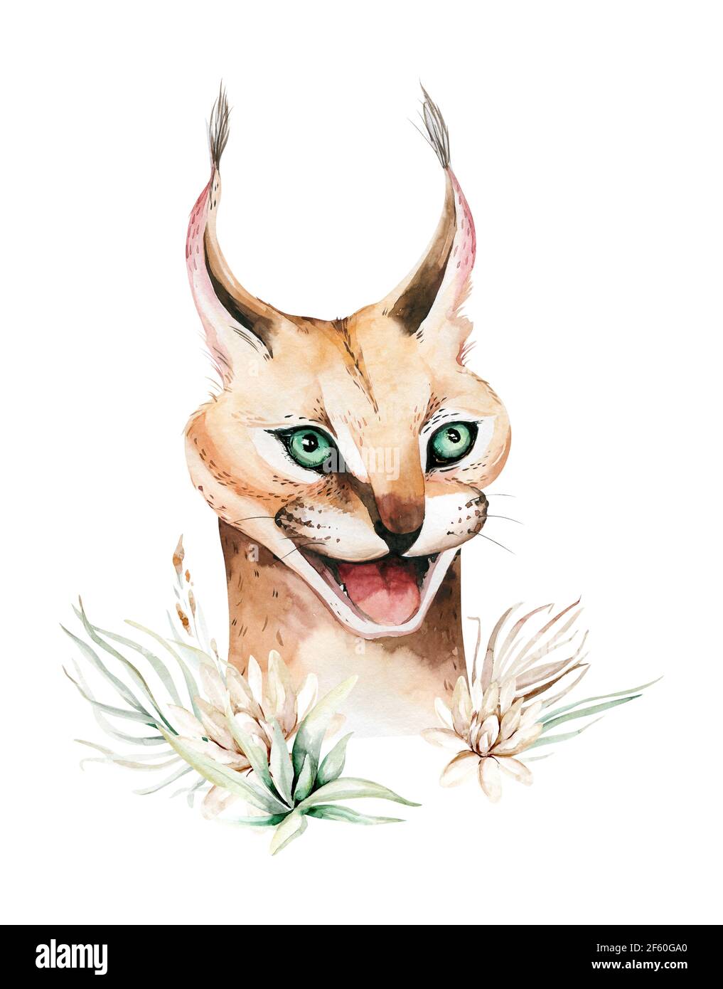 Lynx Du Desert Banque D Images Detourees Alamy
