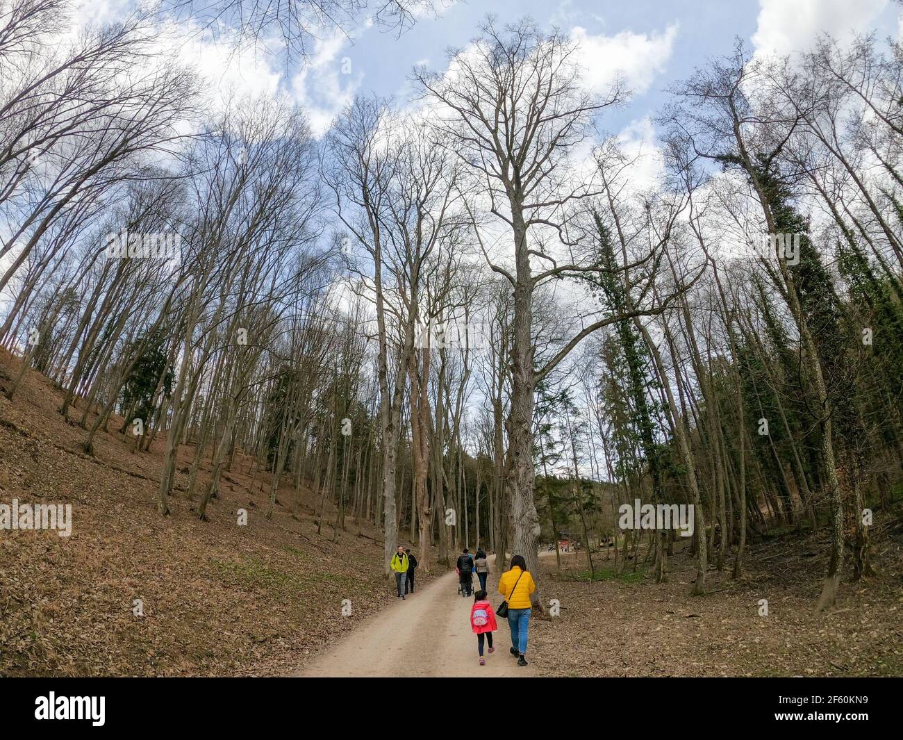 Basse-Autriche, Autriche. 28 mars 2021. Les gens se promènent dans le parc naturel de Sparbach, en Basse-Autriche, près de Vienne, en Autriche, le 28 mars 2021. Credit: Guo Chen/Xinhua/Alay Live News Banque D'Images