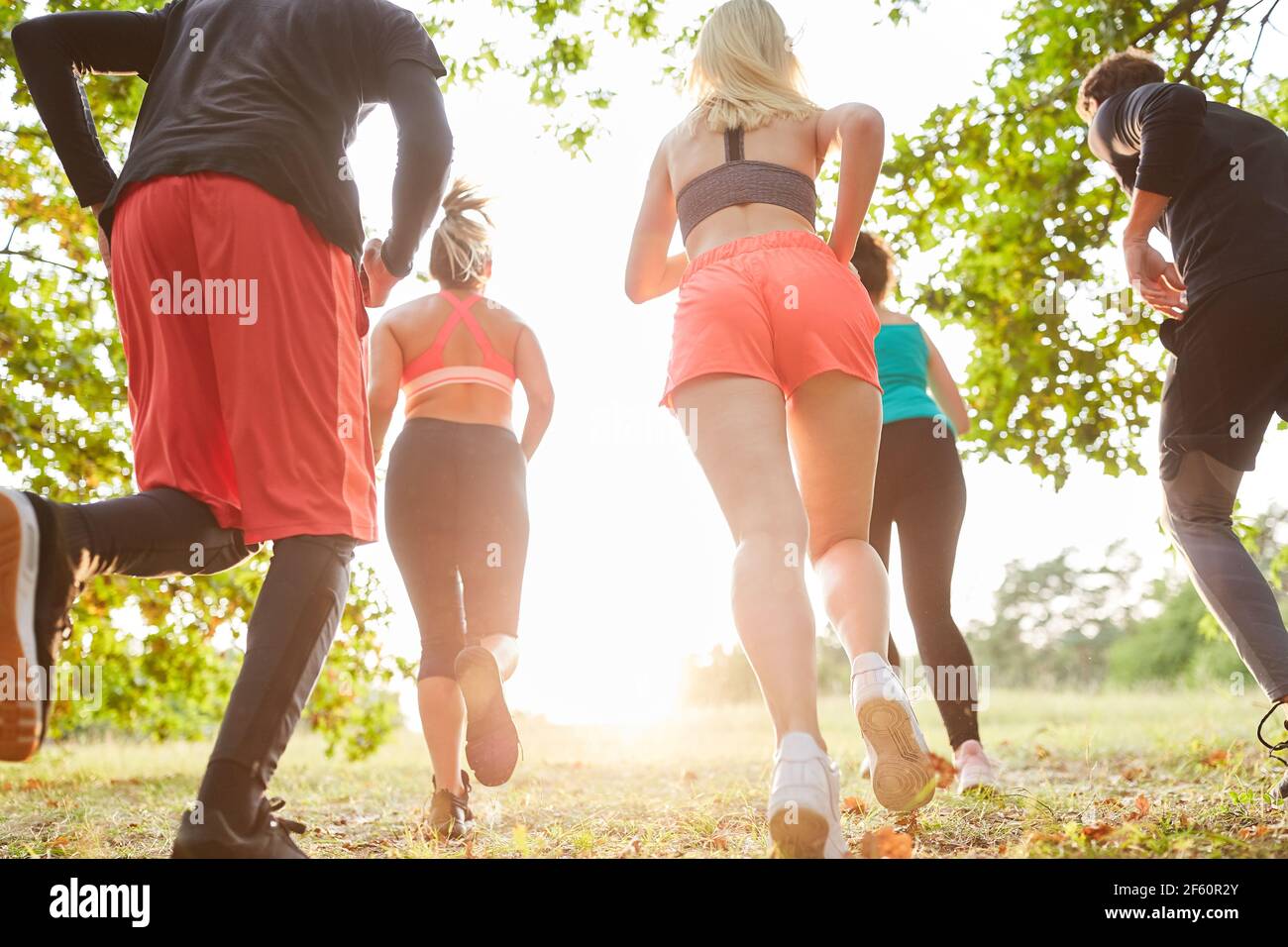 Les jeunes s'entraînent à l'endurance par la course de fond en course groupe dans la nature Banque D'Images