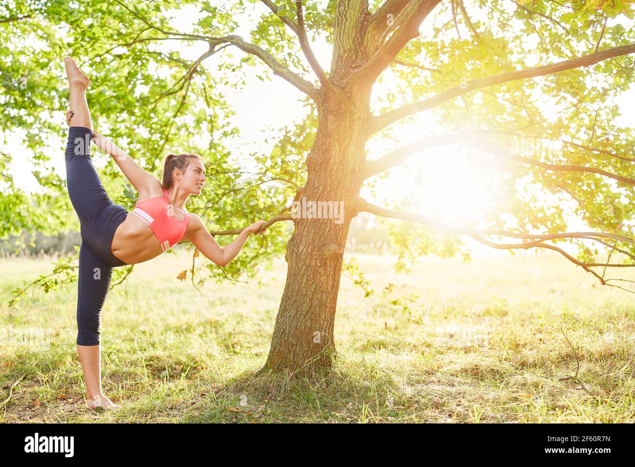 Jeune femme qui fait des étirements de jambes avant des exercices de yoga dans la nature sur un arbre en été Banque D'Images