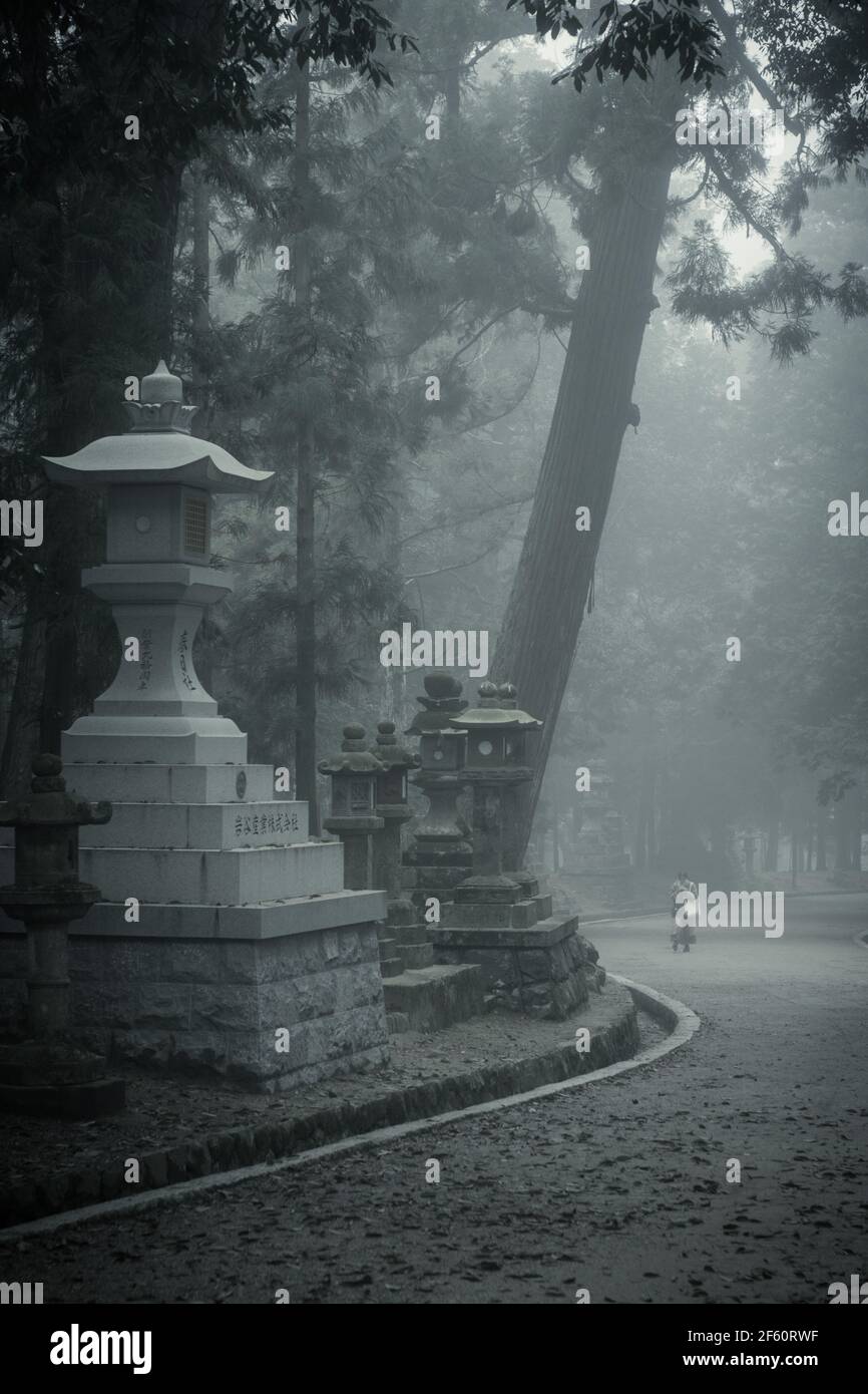 Le Grand Sanctuaire déserté de Kasuga Taisha à Nara, Kansai, Japon, un matin froid et brumeux Banque D'Images