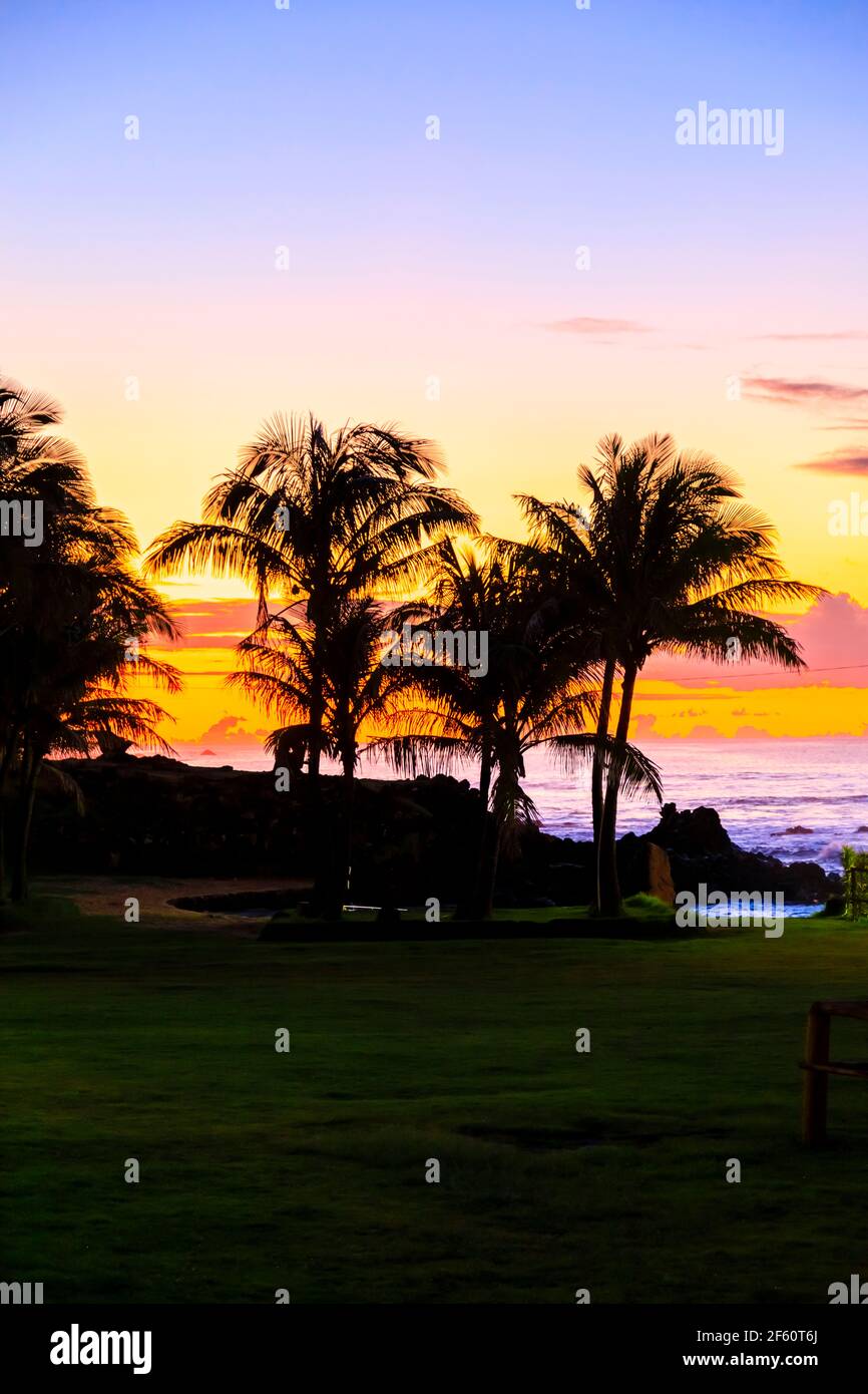 Les palmiers se sont taperés contre l'éclat orange au coucher du soleil sur la rive à Hanga Roa, la ville principale de l'île de Pâques (Rapa Nui), au Chili Banque D'Images