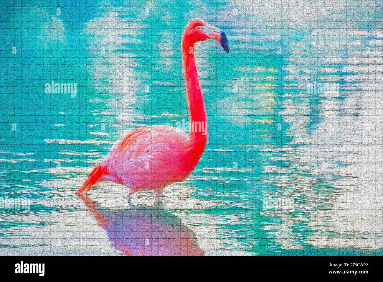 Flamingo Bird dans l'eau Banque D'Images
