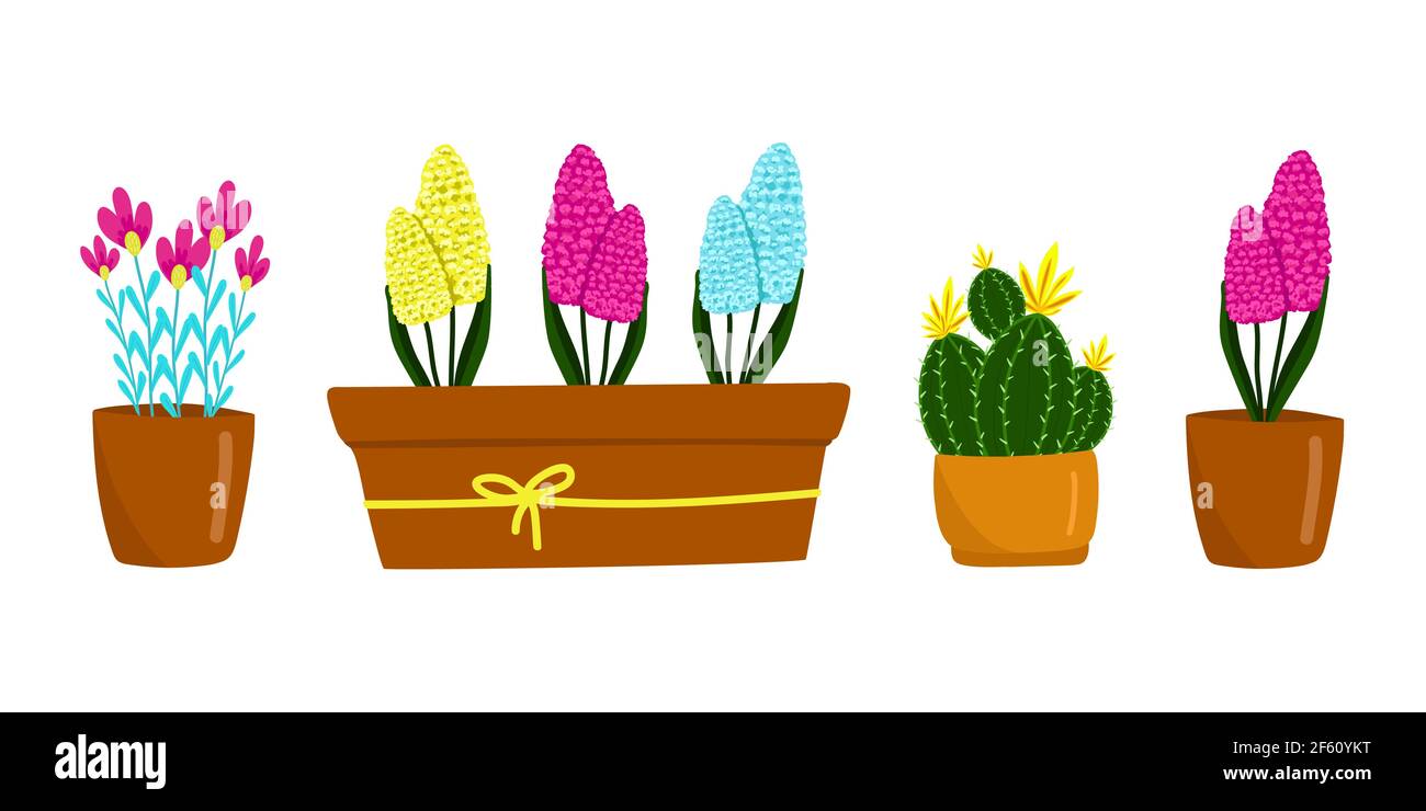 Ensemble de différentes fleurs et plantes de maison, Cactus, jacinthus, et d'autres, belles fleurs de printemps dans des pots bruns, cadeau pour la Journée des femmes, vecteur Illustration de Vecteur