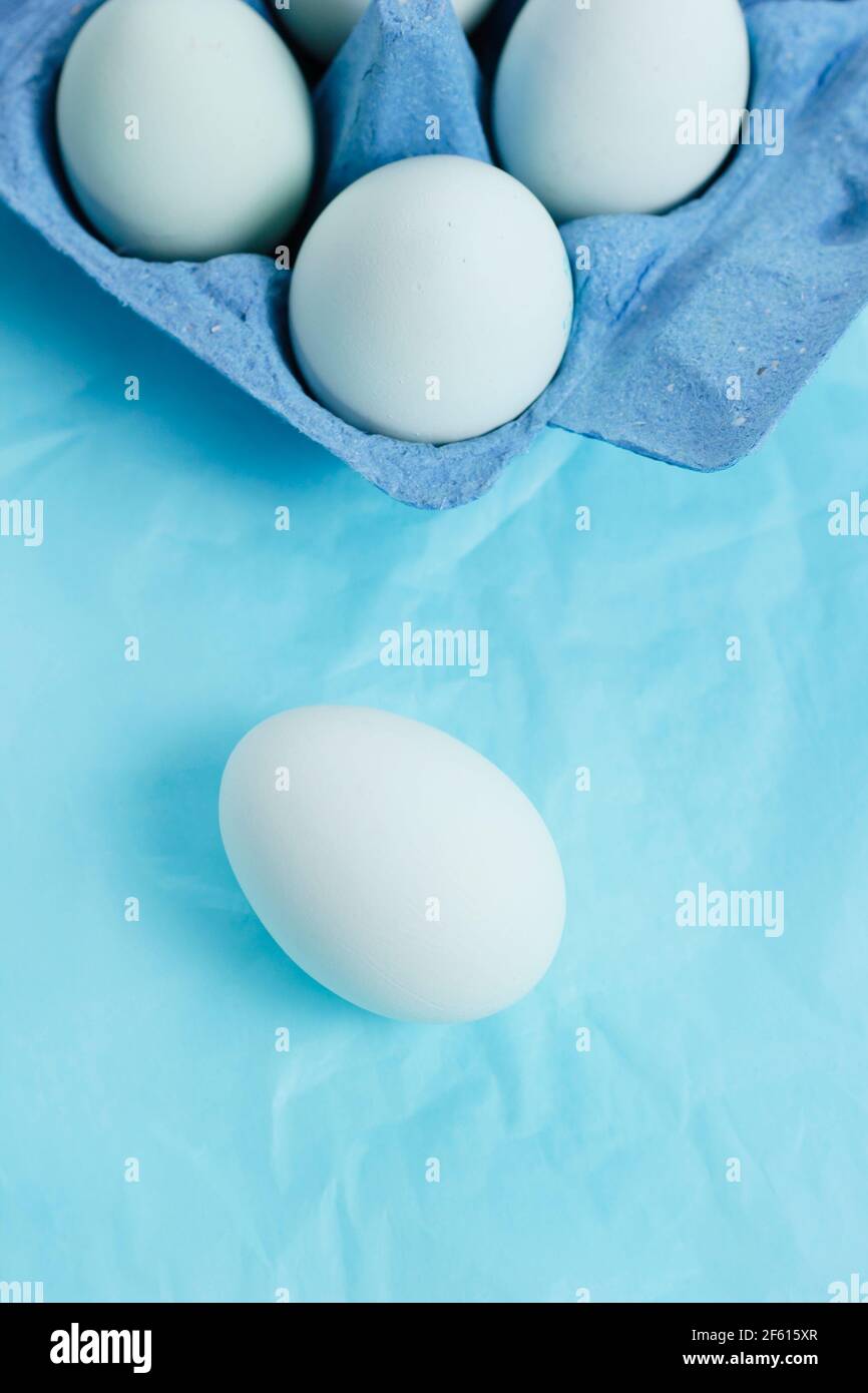 Œufs de poulet avec coquilles bleu naturel dans une boîte à œufs sur fond bleu. ROYAUME-UNI Banque D'Images