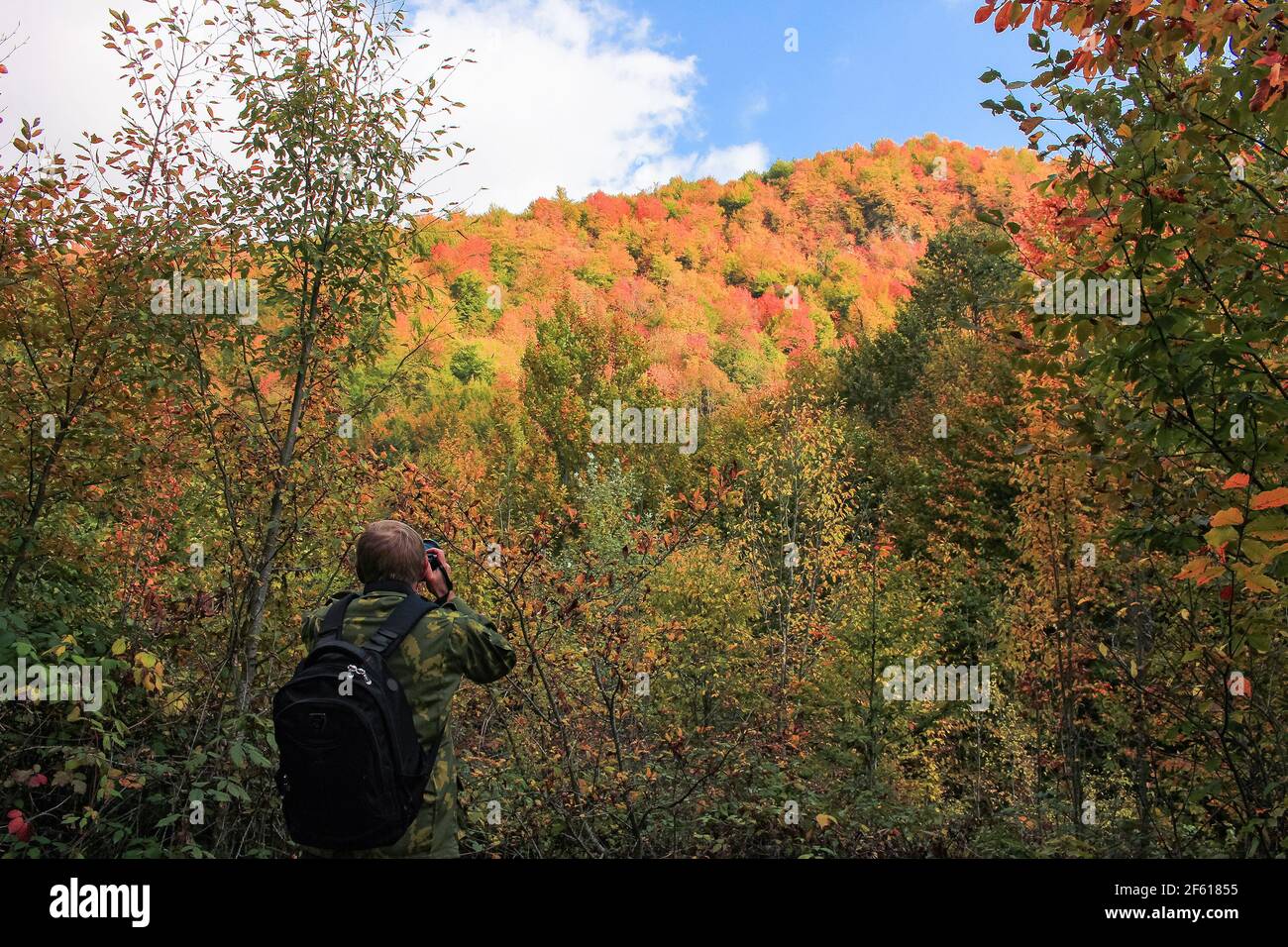Photographe prenant des photos d'une belle forêt d'automne. Banque D'Images