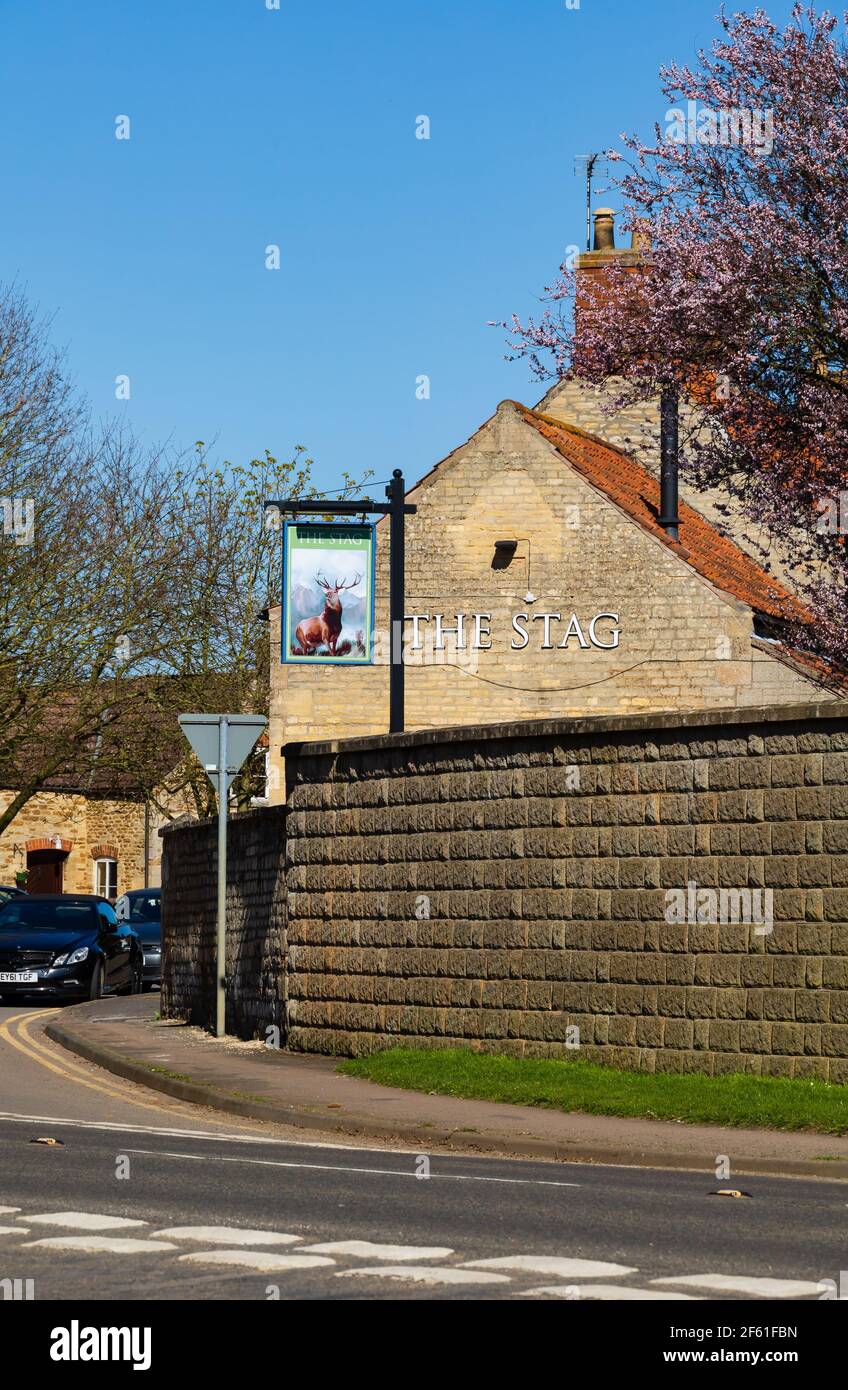 The Stag, maison publique et restaurant, village de Barkston, Grantham, Lincolnshire, Angleterre. Banque D'Images