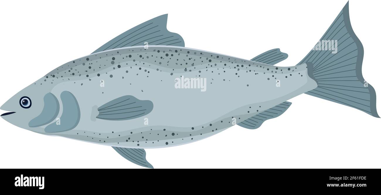 icône saumon sain Illustration de Vecteur