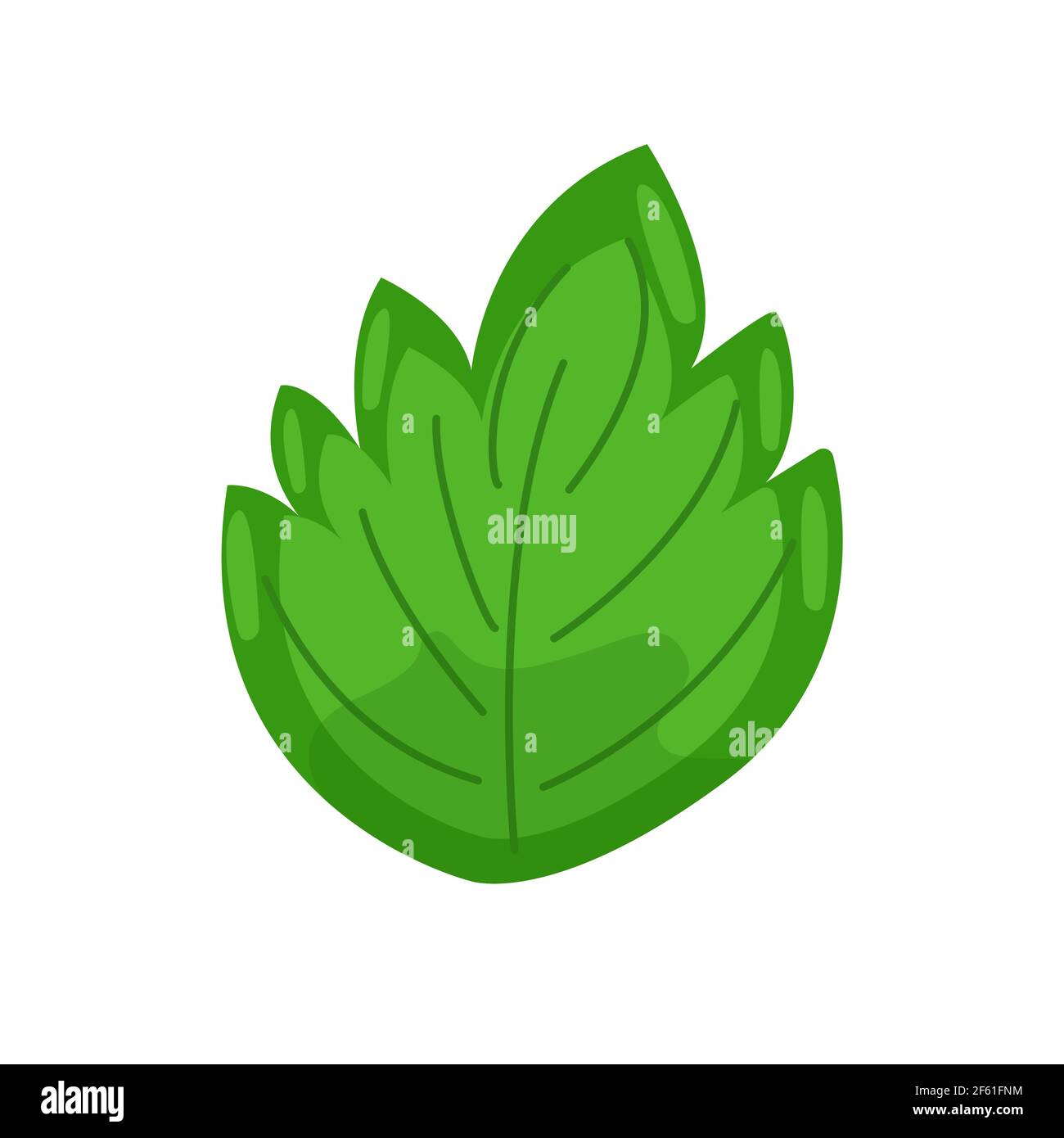 Grande feuille de palmier verte, élément de décor floral de style plat, illustration vectorielle, feuille verte de fleur exotique. Illustration de Vecteur
