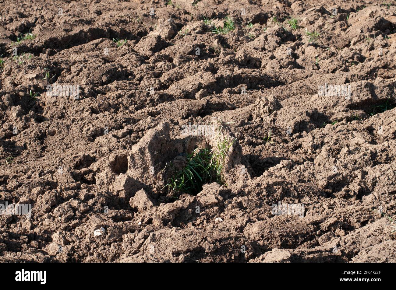 un champ labouré avec de grands mottes de terre sur un journée ensoleillée au printemps Banque D'Images