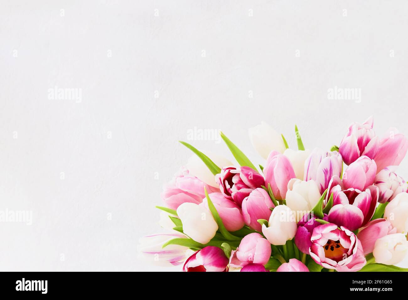 Bouquet de tulipes roses et blanches sur fond clair. Arrière-plan de vacances, espace de copie. Concept de la Saint-Valentin, de la fête des mères, de la fête d'anniversaire. Banque D'Images