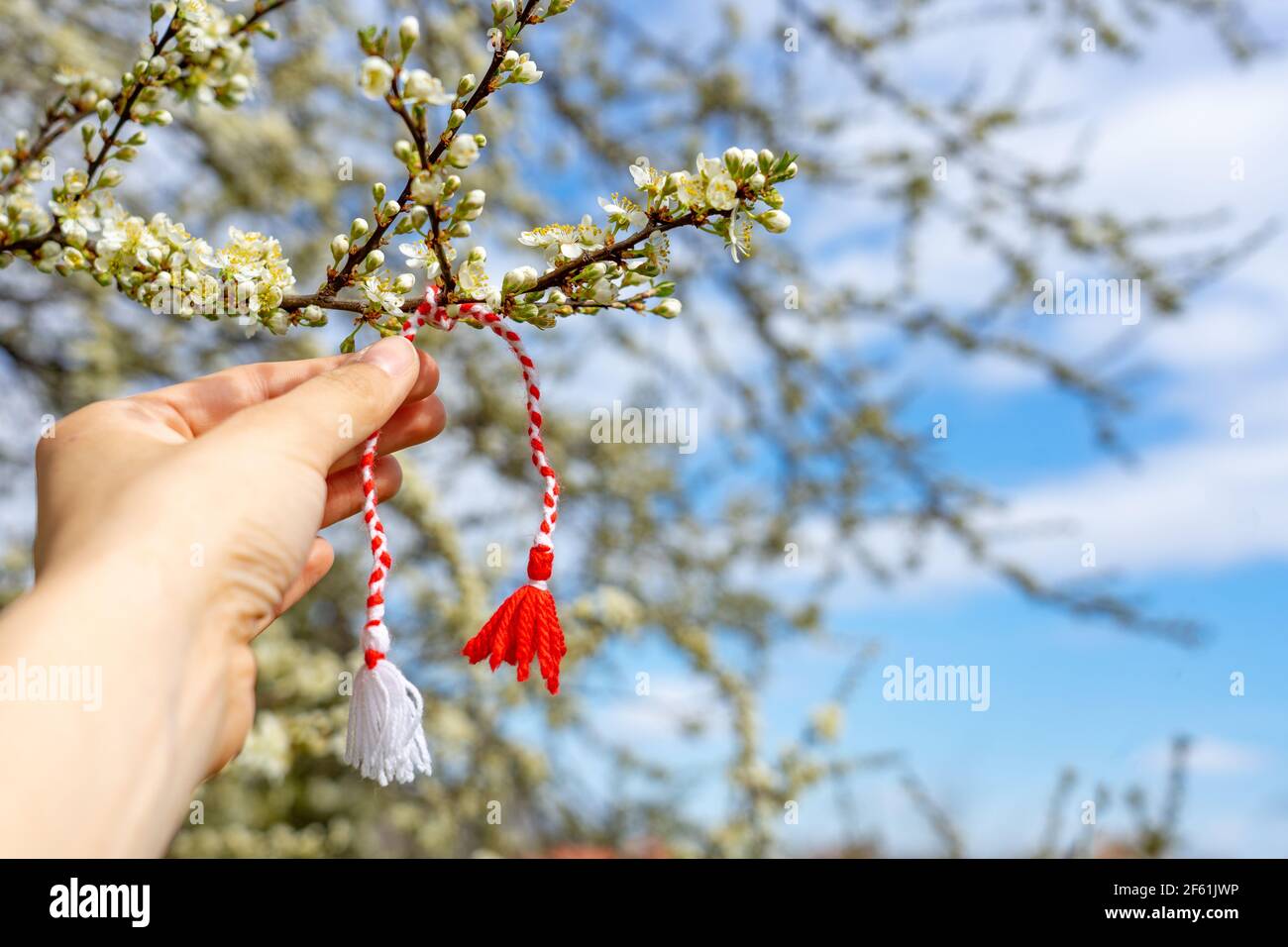 Symbole bulgare du bracelet martenitsa de printemps. Mars 1 tradition blanc et rouge cordon martisor et le premier arbre en fleur à Attendez. Banque D'Images