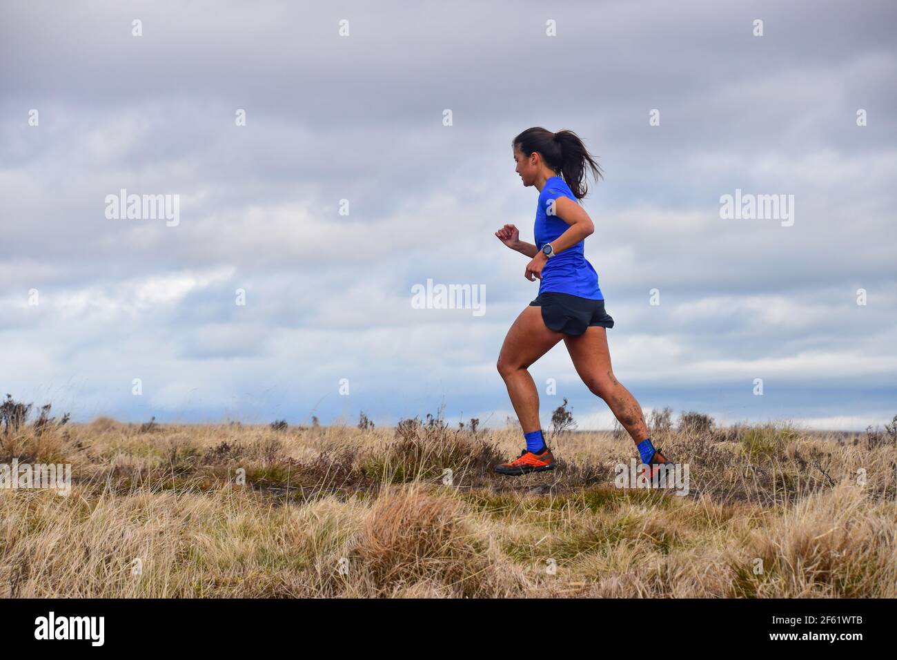 Ultra Runner dans l'entraînement sur Heptonstall Moor, Pennine Way, West Yorkshire Banque D'Images