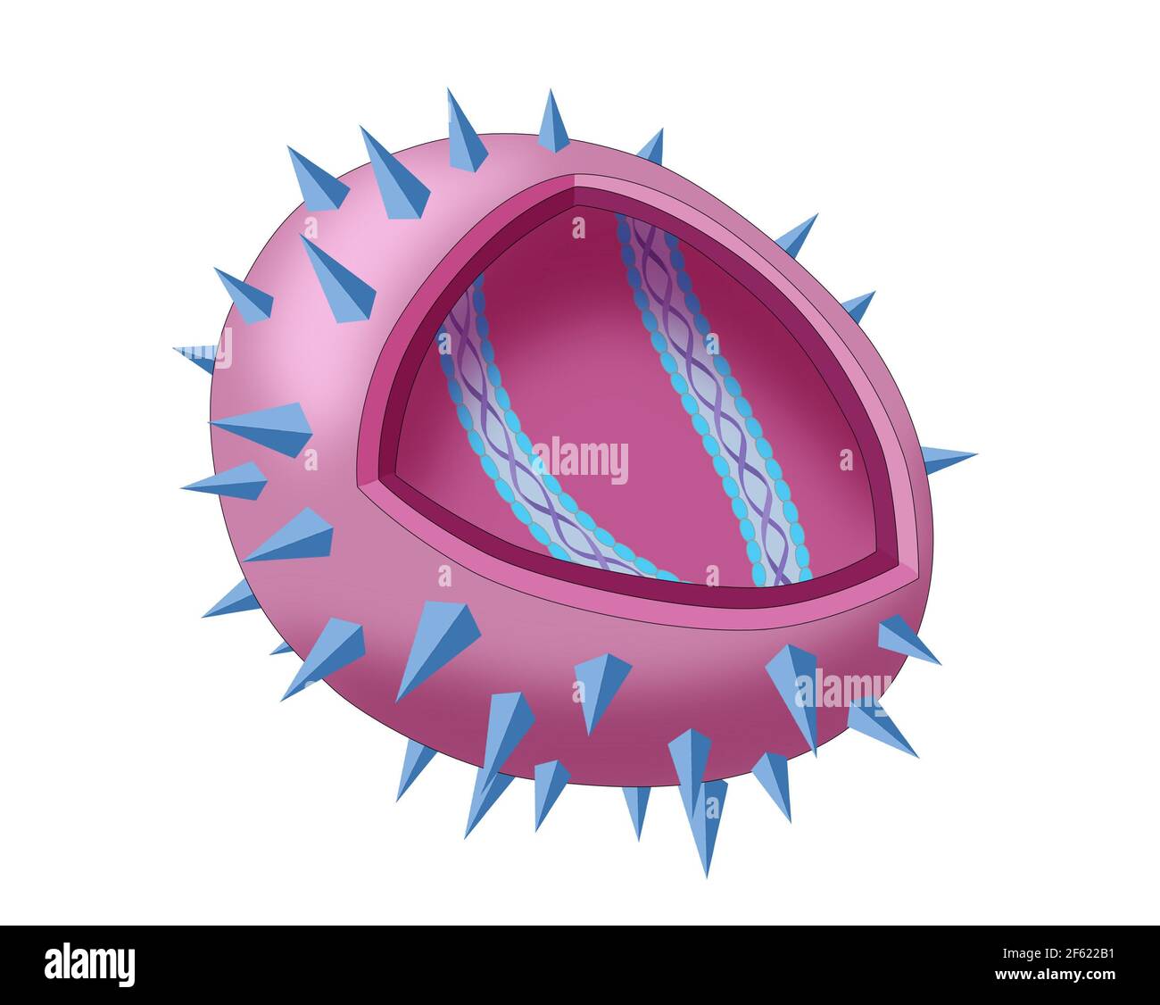 Diagramme de virus Banque D'Images
