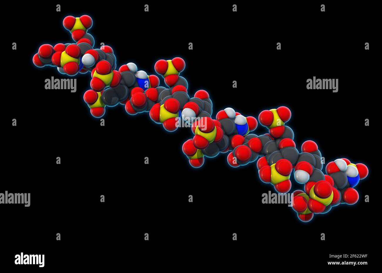 Héparine, modèle moléculaire Banque D'Images