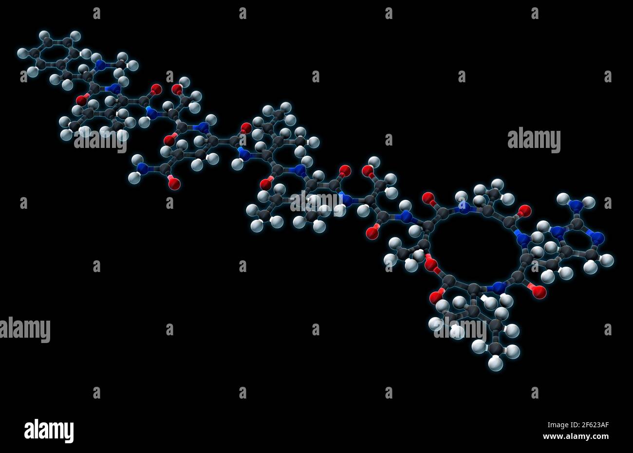 Teixobactin, modèle moléculaire Banque D'Images