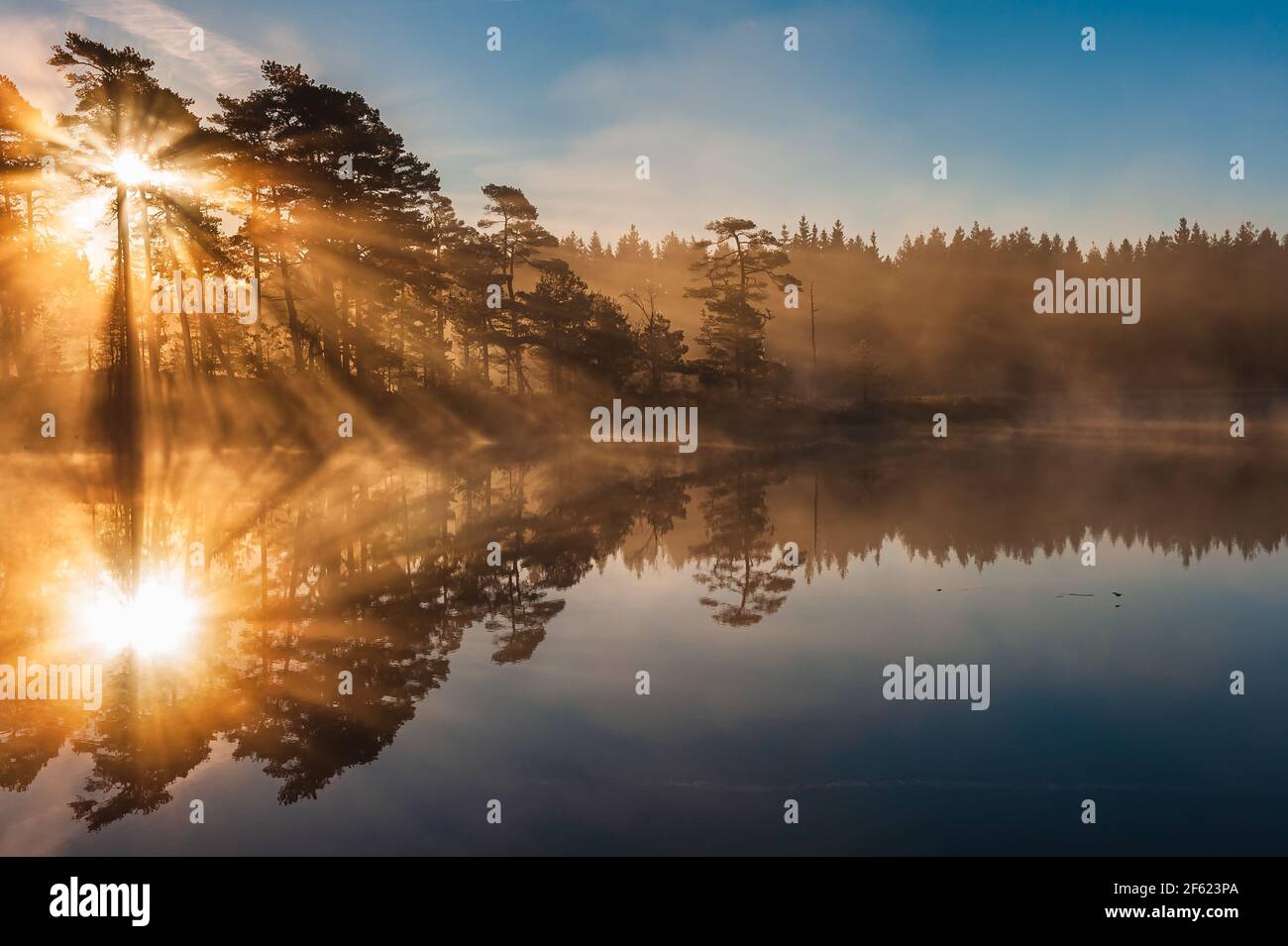 Un lever de soleil époustouflant à travers les arbres et réfléchi sur le lac STILL Banque D'Images