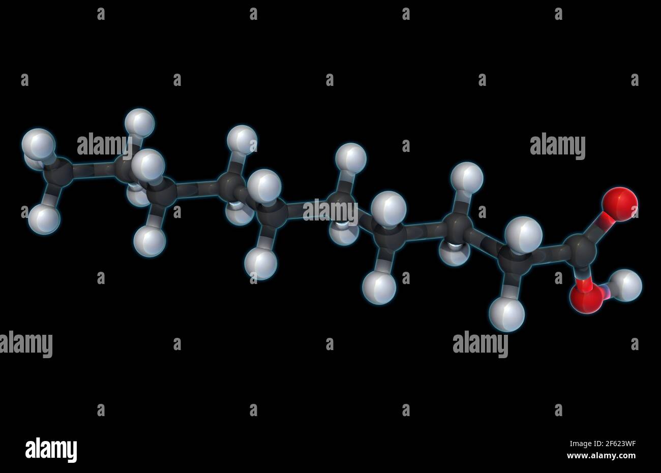 Acide décanoïque, modèle moléculaire Banque D'Images