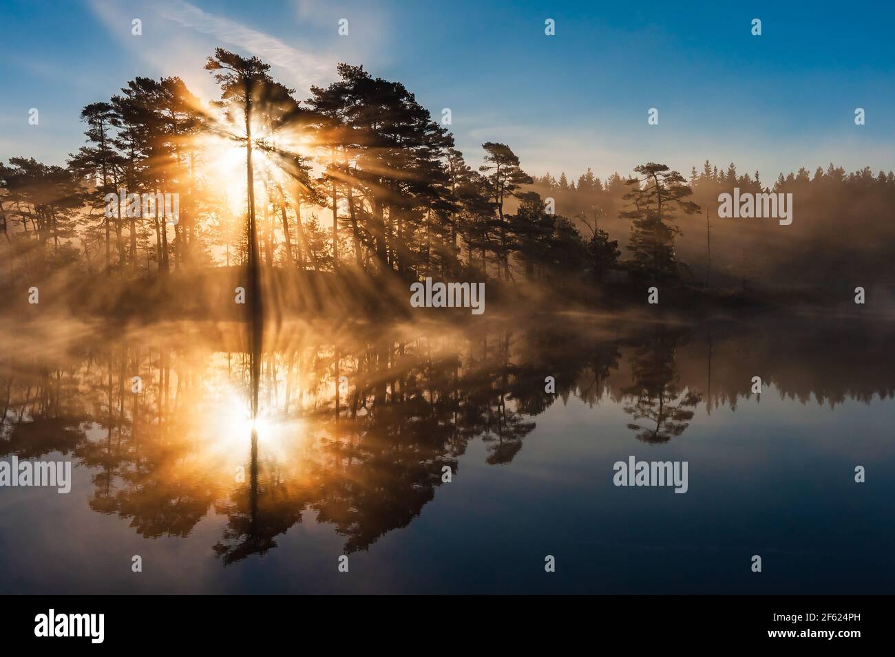 Un lever de soleil époustouflant à travers les arbres et réfléchi sur le lac STILL Banque D'Images