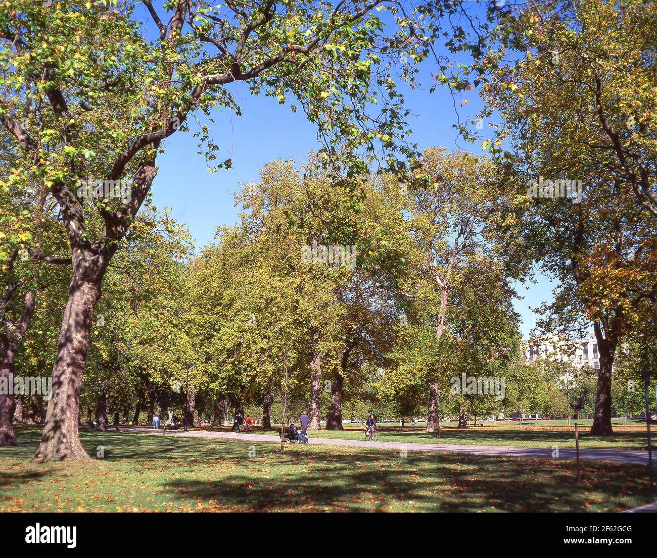 Hyde Park à l'automne, la ville de Westminster, Greater London, Angleterre, Royaume-Uni Banque D'Images