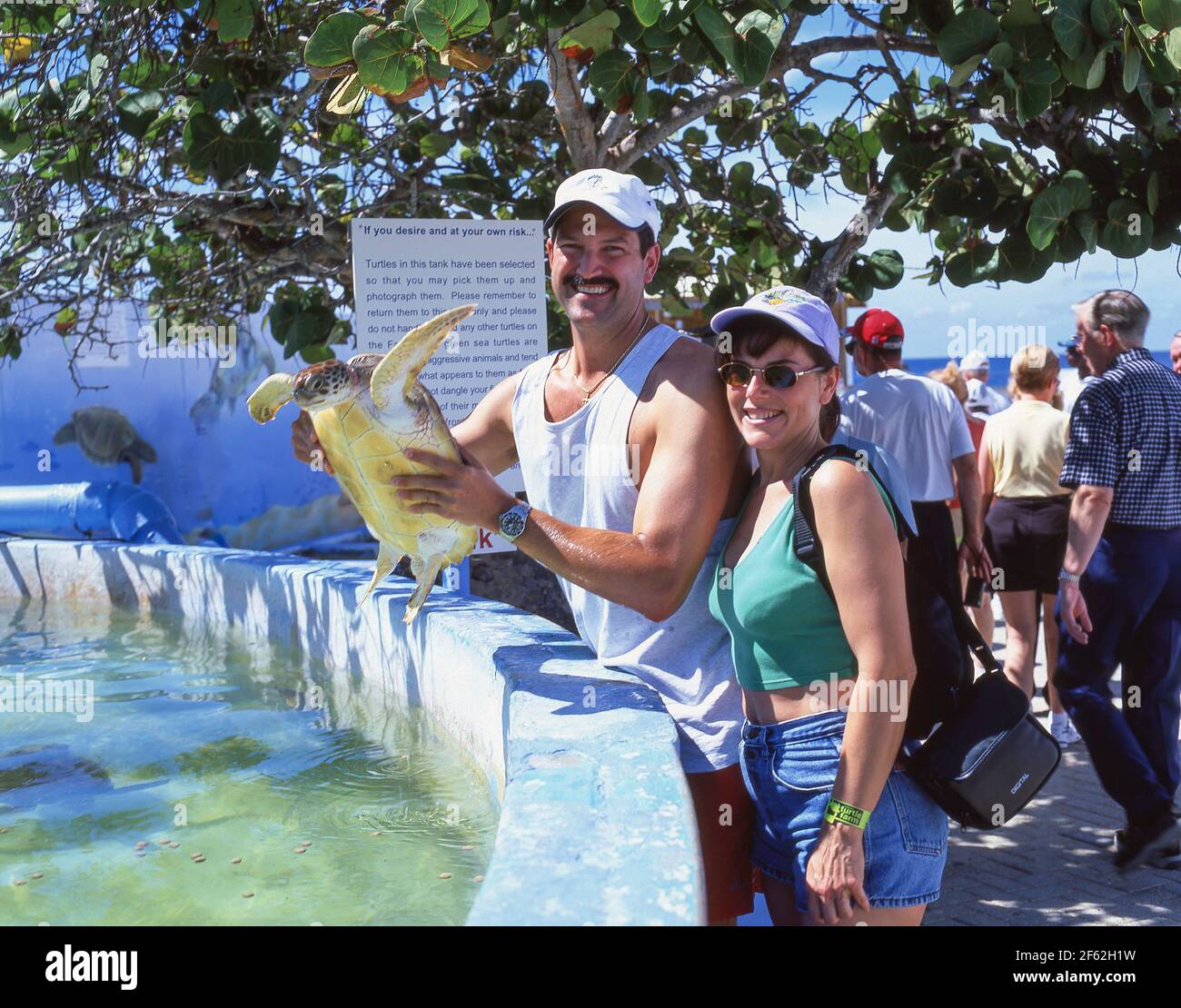 Couple tenant une tortue de mer verte à Cayman Turtle Farm, West Bay, îles Caïman, grandes Antilles, Caraïbes Banque D'Images