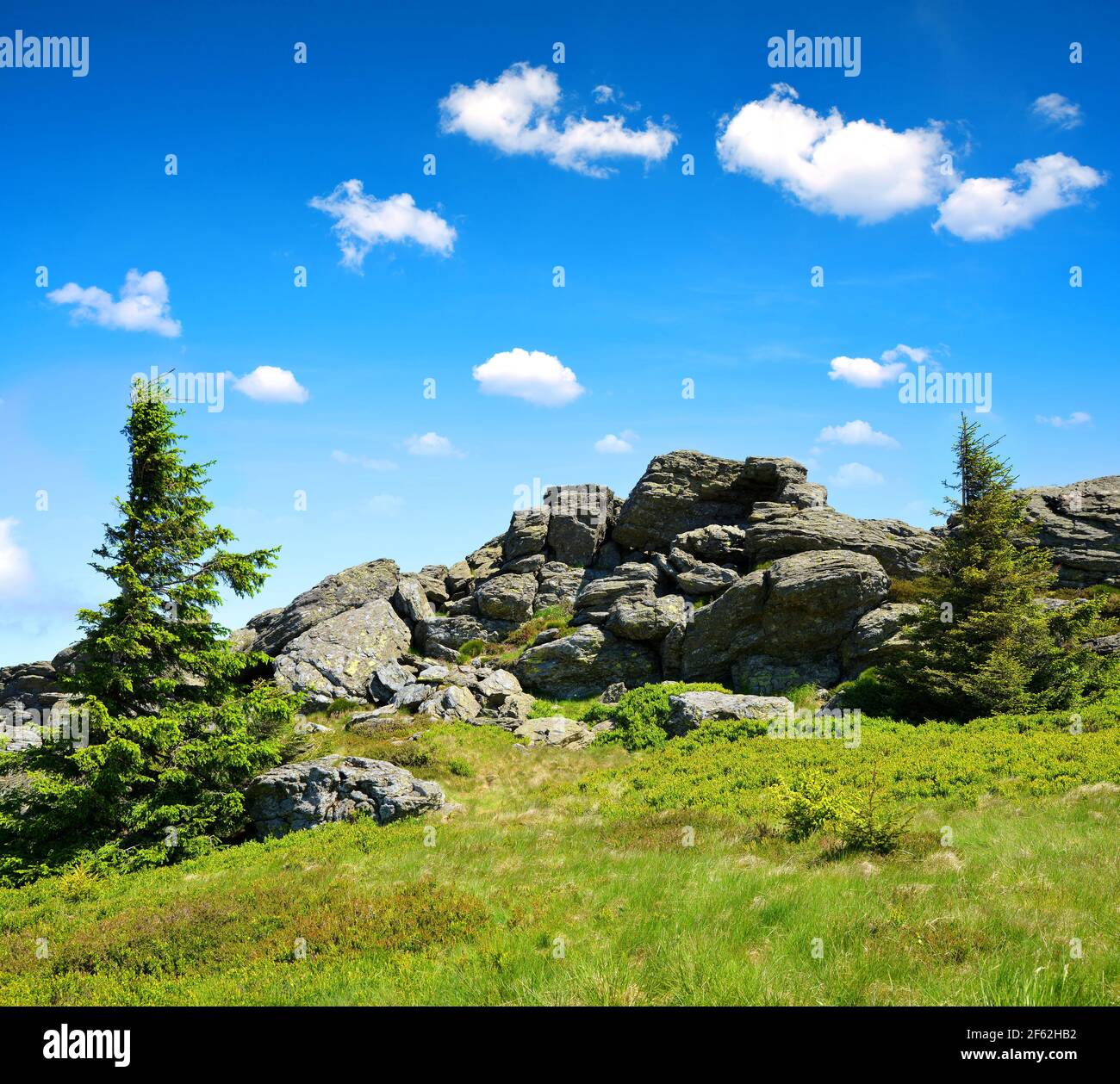 Sommet de la montagne Grosser Arber dans le parc national Bayerische Wald, Allemagne. Banque D'Images