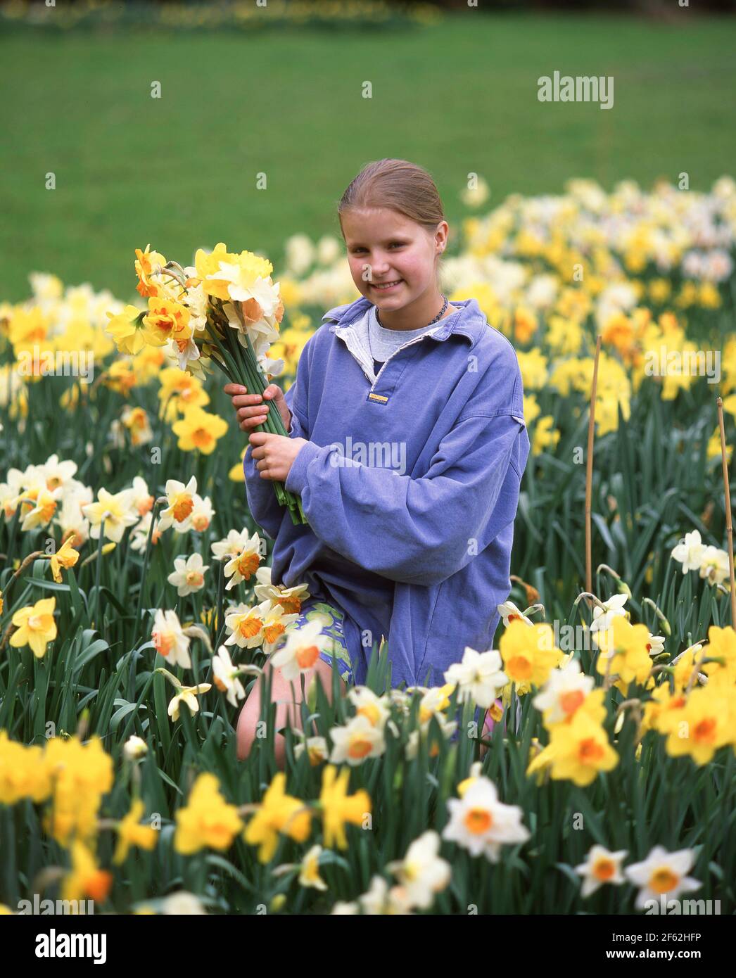Jeune fille dans le domaine des jonquilles, Sunningdale, Berkshire, Angleterre, Royaume-Uni Banque D'Images