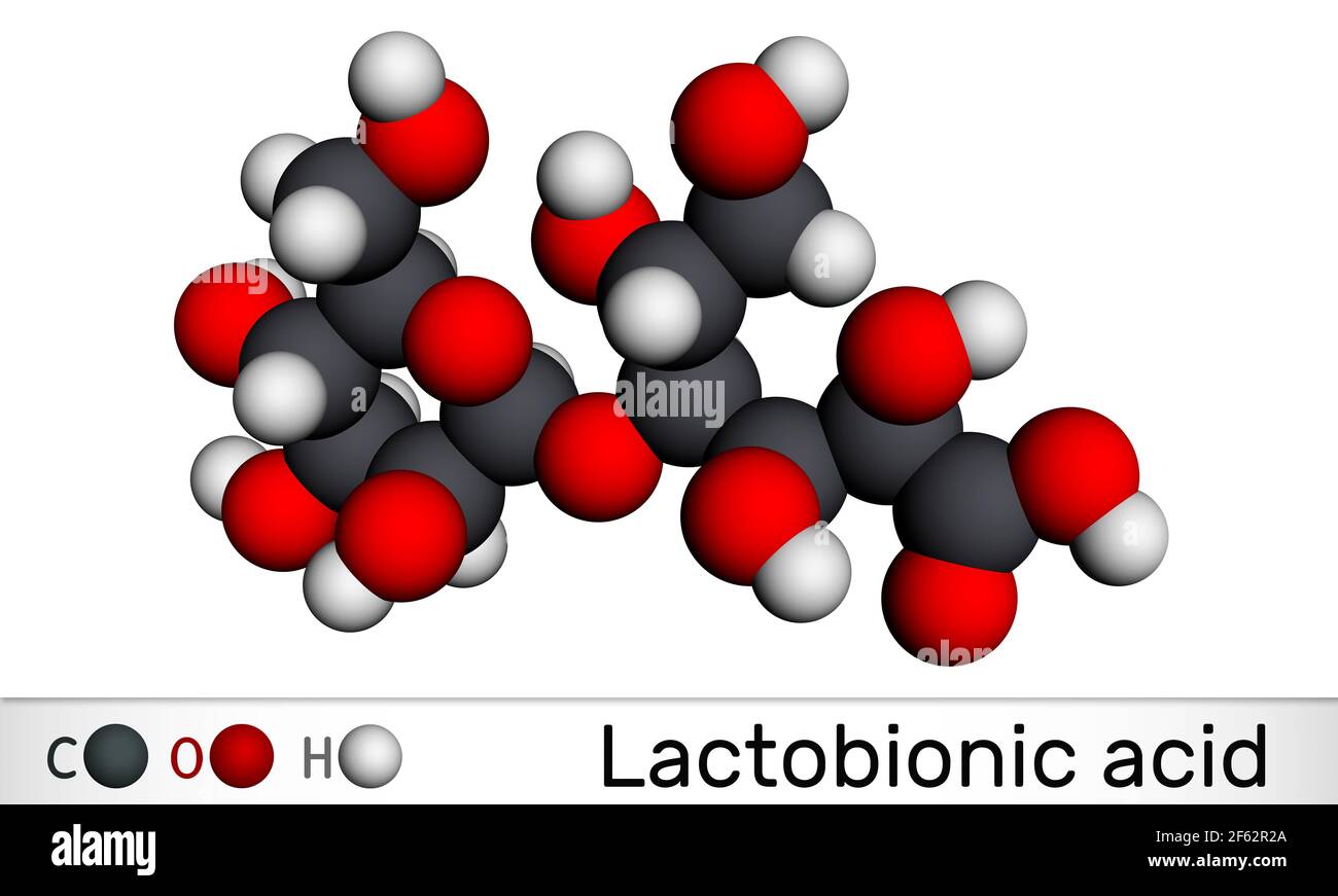Acide lactobionique, molécule de lactobionate. C'est un disaccharide, acide de sucre, additif alimentaire E399. Modèle moléculaire. Rendu 3D. Illustration 3D Banque D'Images