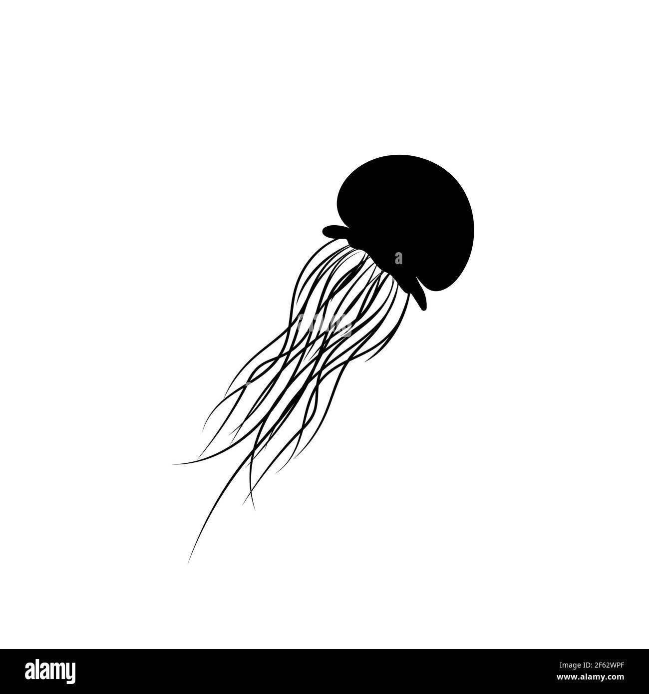 Silhouette isolée noire d'un méduse de mer sur fond blanc. Vue latérale. Graphiques vectoriels EPS 10. Illustration de Vecteur