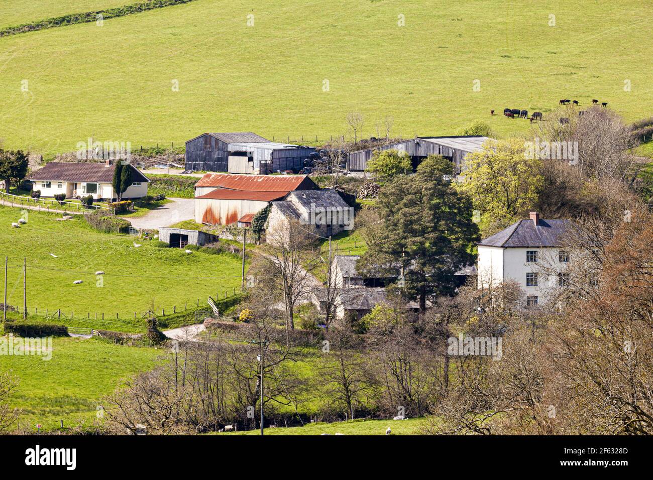 Vue sur une ferme Exmoor - ferme Hele Bridge près de Dulverton, Somerset Royaume-Uni Banque D'Images
