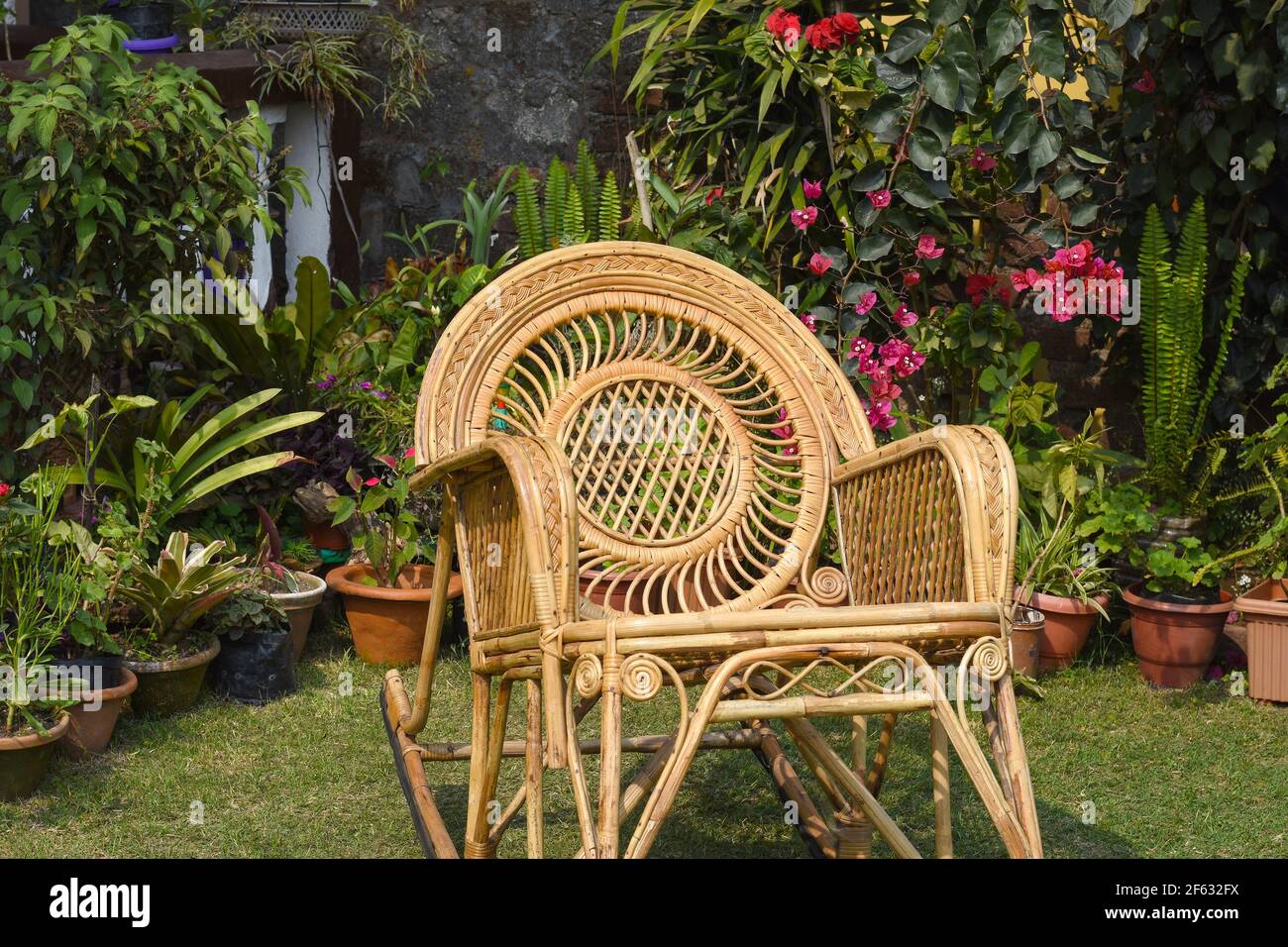 Chaise à bascule, meubles de canne dans le jardin Banque D'Images