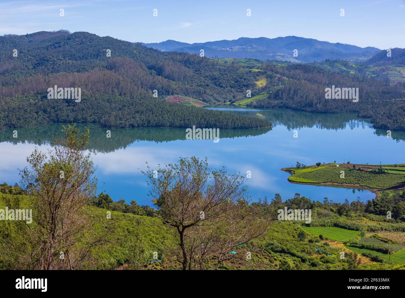 Belle vue sur le lac Emerald (Avalanchi) à la périphérie d'Ooty (Tamil Nadu, Inde) Banque D'Images