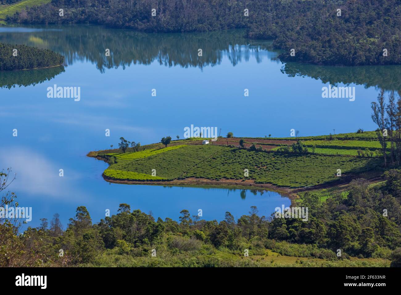 Belle vue sur le lac Emerald (Avalanchi) à la périphérie d'Ooty (Tamil Nadu, Inde) Banque D'Images
