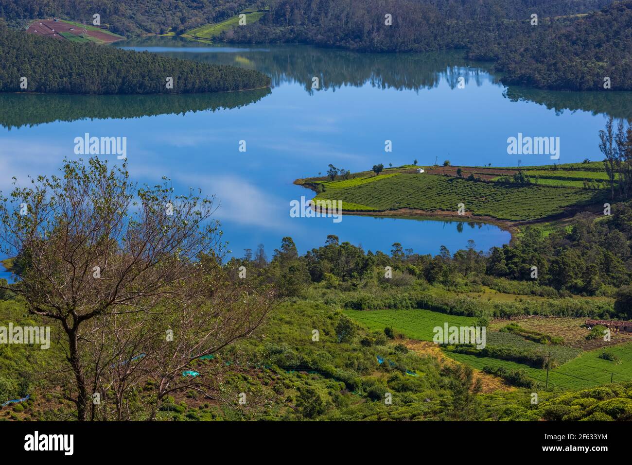 Belle vue sur le lac Emerald (Avalanchi) à la périphérie d'Ooty (Tamil Nadu, Inde) Banque D'Images