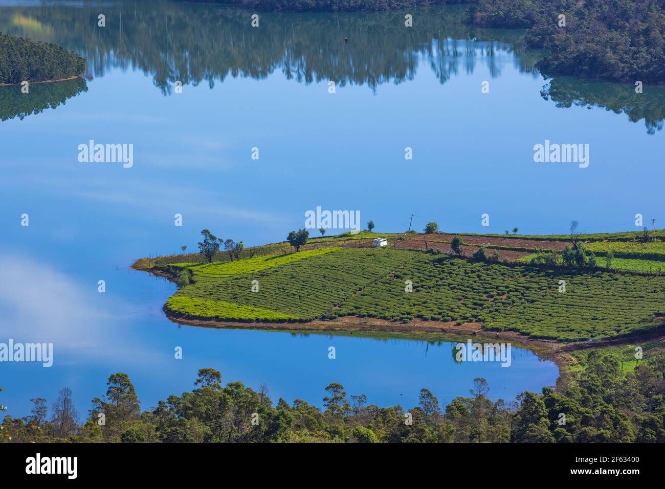 Belle vue sur le lac Emerald (Avalanchi) à la périphérie d'Ooty (Tamil Nadu, Inde) Banque D'Images