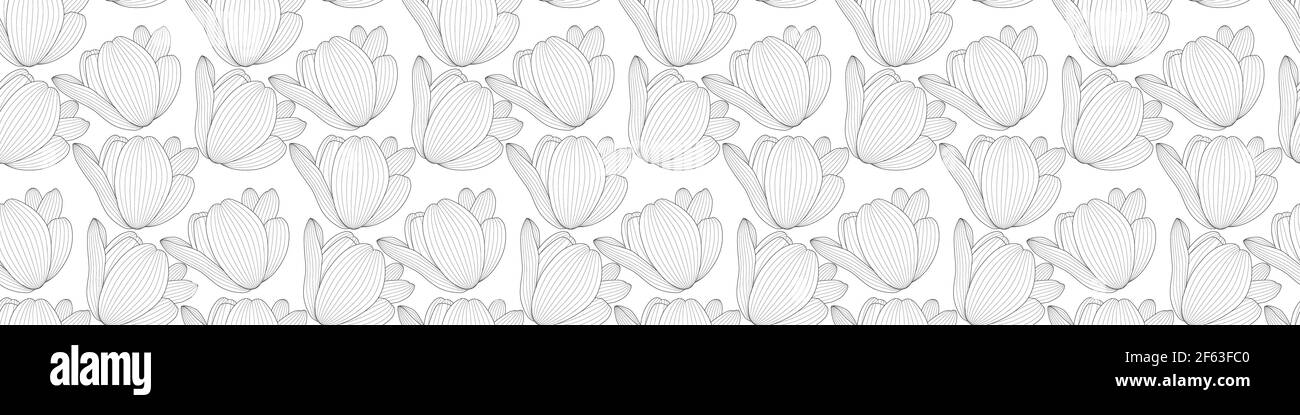 Image large tulipe noire et blanche avec une ligne de contour. Motif sans couture horizontal et vertical. Illustration vectorielle Illustration de Vecteur