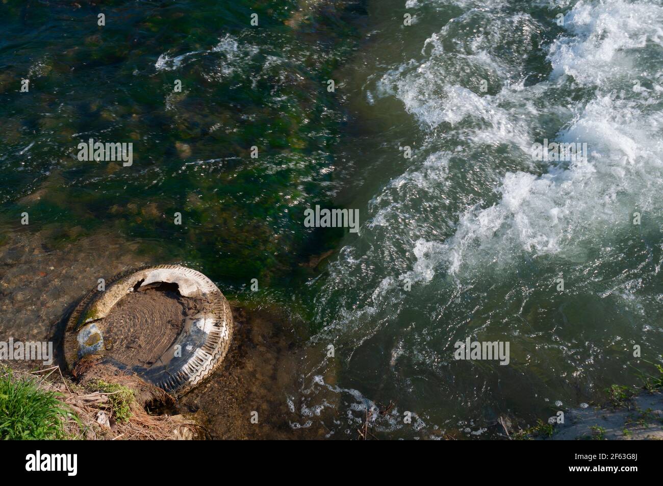 Italie, Lombardie, pneu de véhicule unique abandonné dans l'eau Banque D'Images