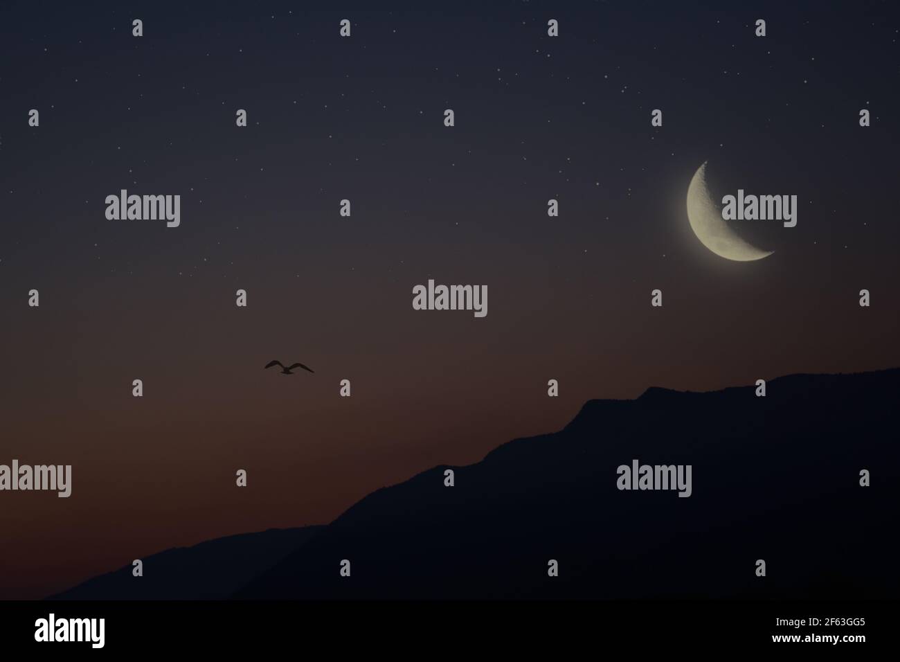 Lune en croissant sur la montagne et silhouette d'oiseau volant au crépuscule Banque D'Images