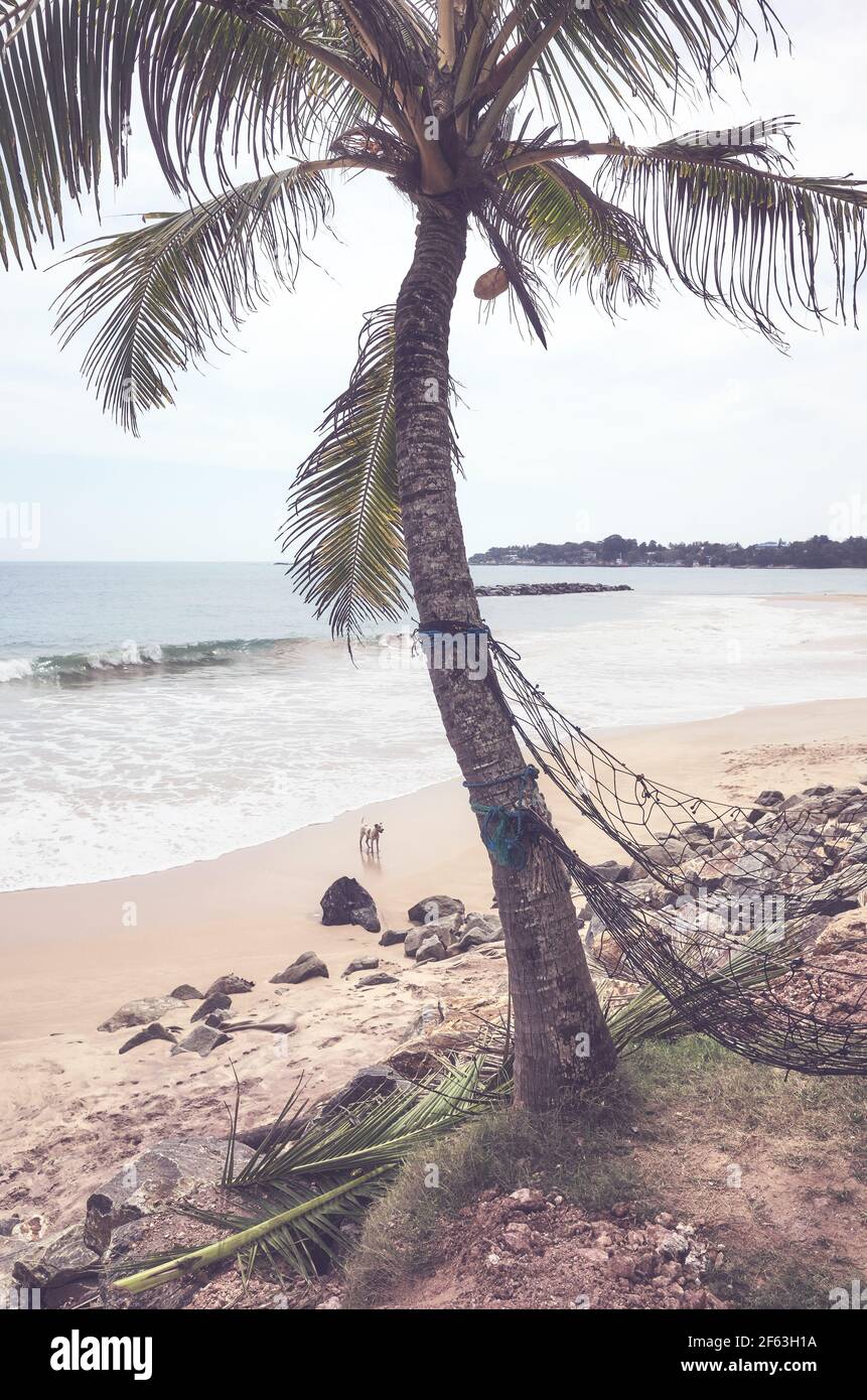 Image rétro d'une plage tropicale. Banque D'Images