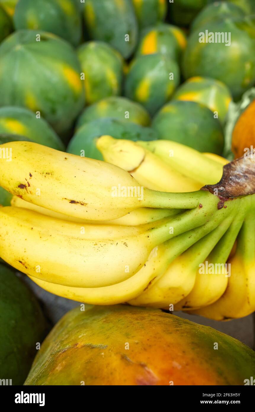 Gros plan de bananes mûres sur un marché local, attention sélective. Banque D'Images