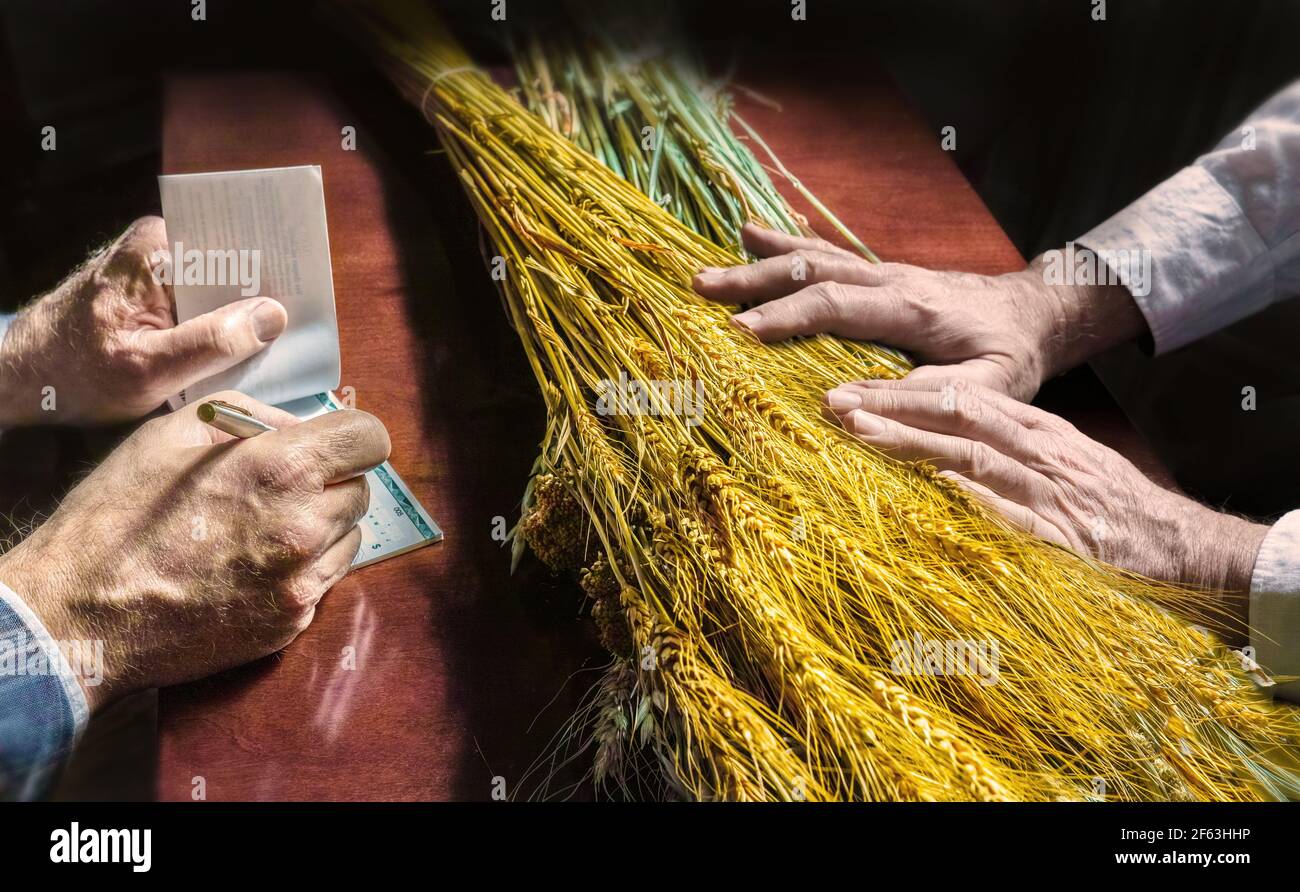 Deux paires de mains d'hommes; une paire prépare le chèque à payer, l'autre paire présente le produit à vendre : le blé. Banque D'Images