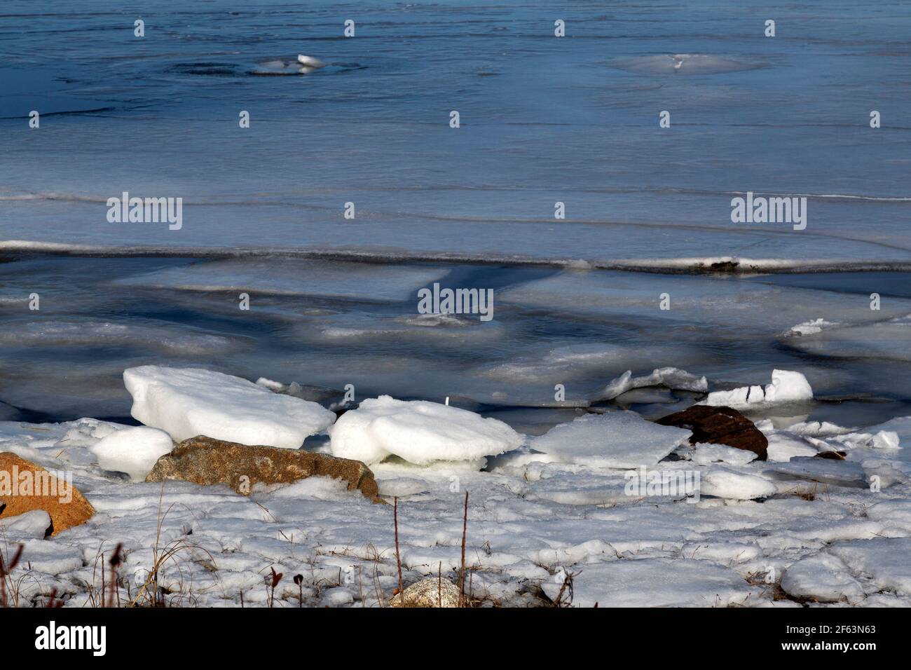 La glace en feuilles flotte dans l'anse partiellement gelée de Rafuses Cove, en Nouvelle-Écosse, au Canada. De la glace se trouve également sur la rive. Banque D'Images