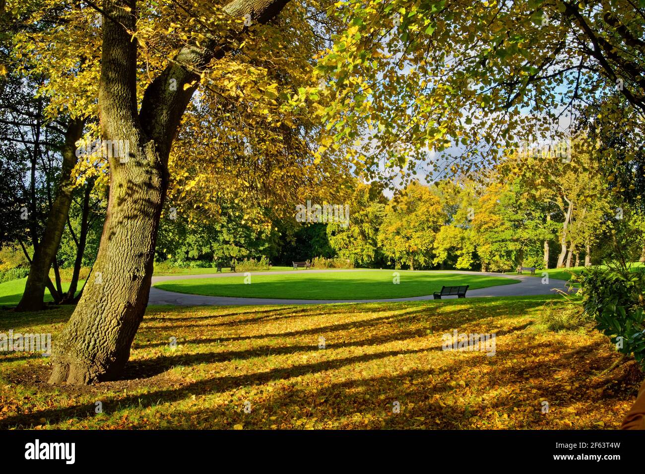 Royaume-Uni, Yorkshire du Sud, Barnsley, Locke Park en automne Banque D'Images