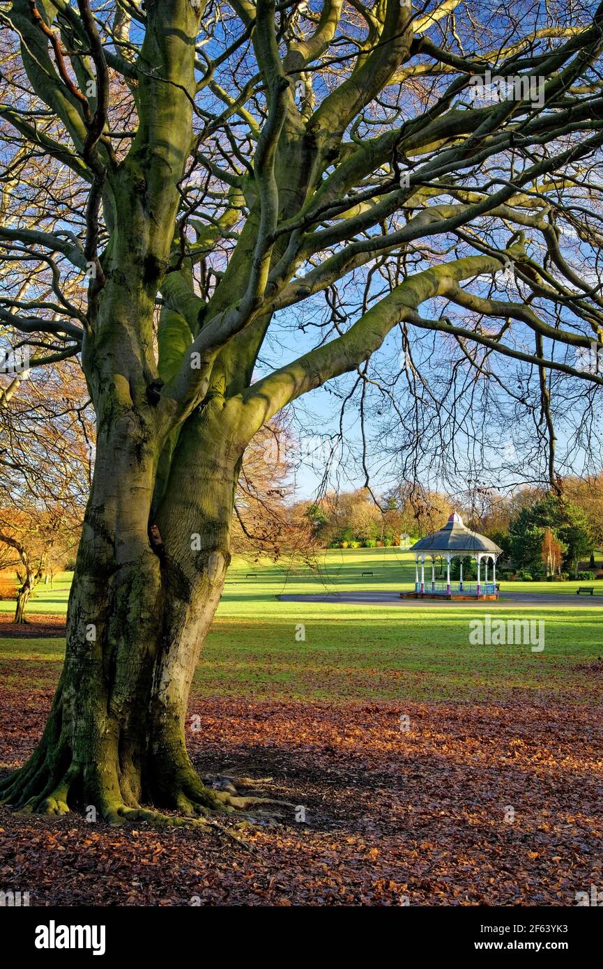 Royaume-Uni, Yorkshire du Sud, Barnsley, kiosque à musique Locke Park Banque D'Images
