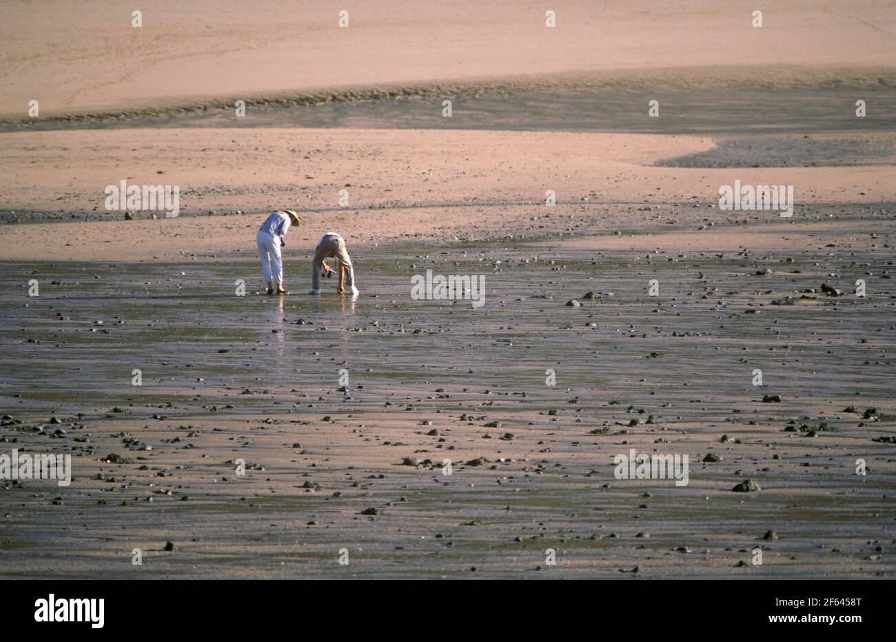 Un couple plage peignant à marée basse dans la baie de carreening. Kimberley, Australie occidentale Banque D'Images