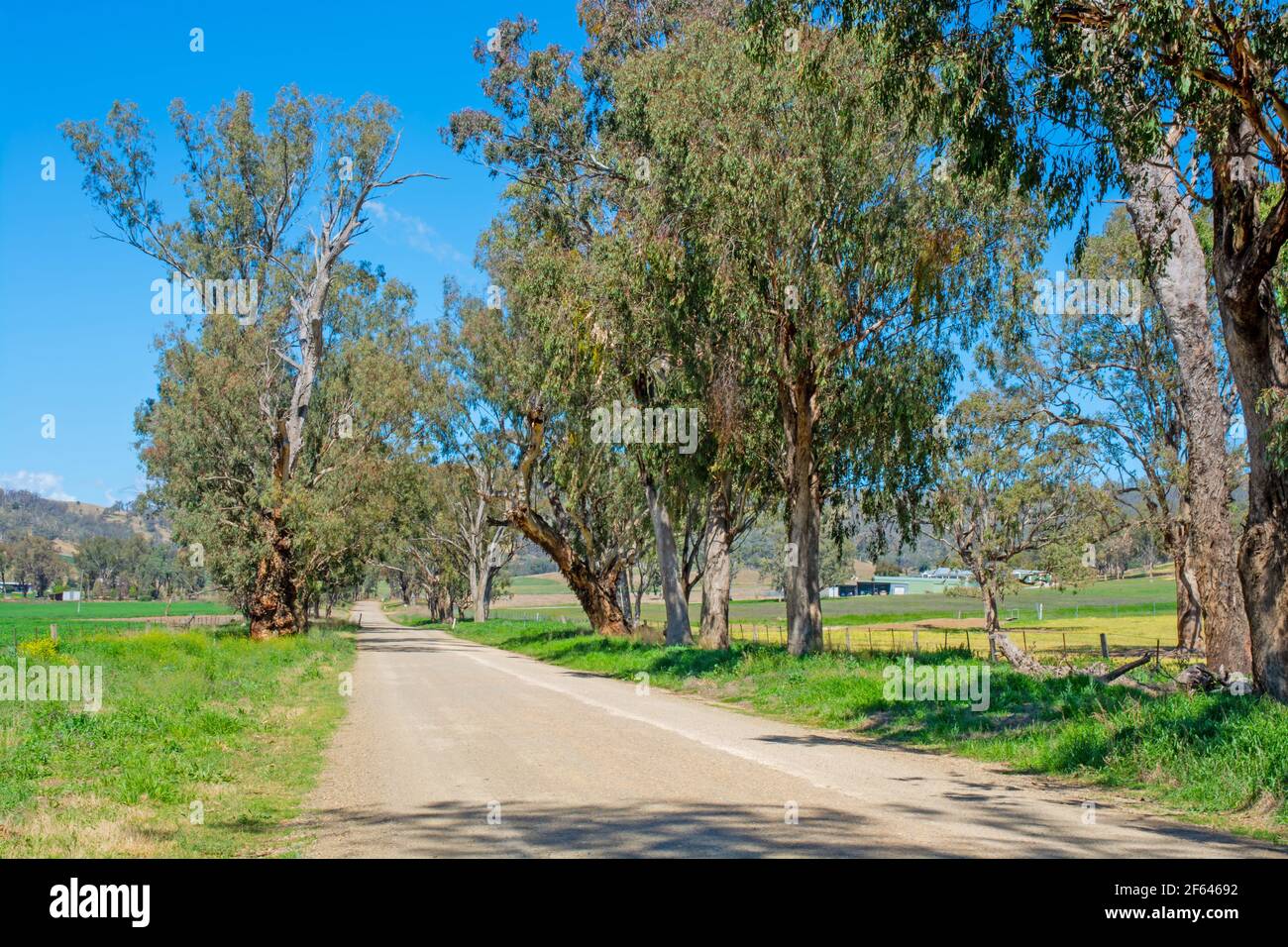 A Country Road en Nouvelle-Galles du Sud Australie. Banque D'Images