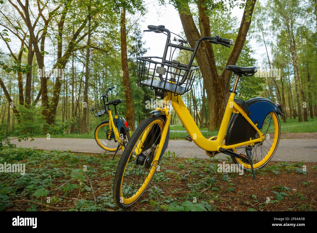 Location de vélos de parking en ville, tourisme Banque D'Images